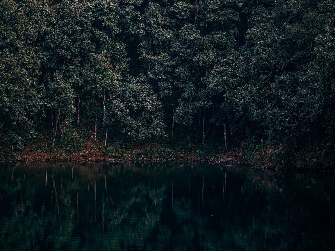 Download wallpapers 1152x864 lake, trees, forest, reflection, begnas