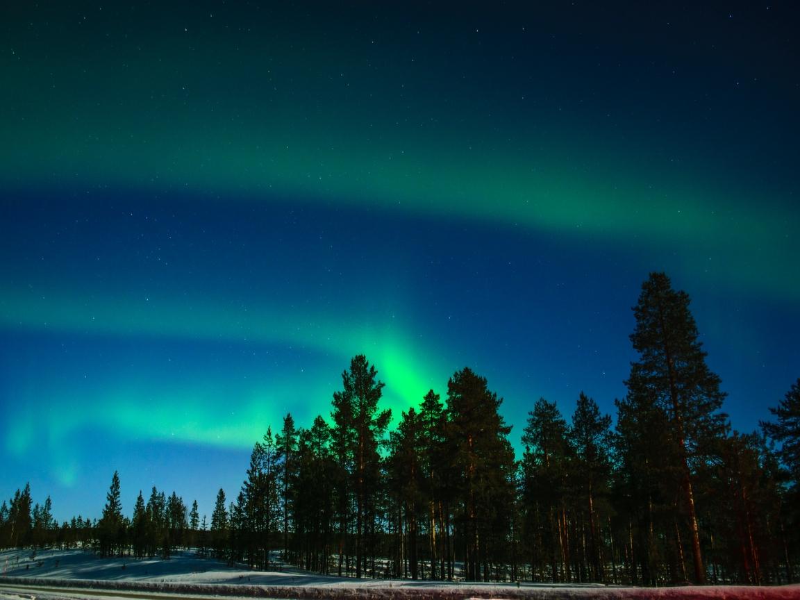 Download wallpapers 1152x864 northern lights, aurora, trees, light