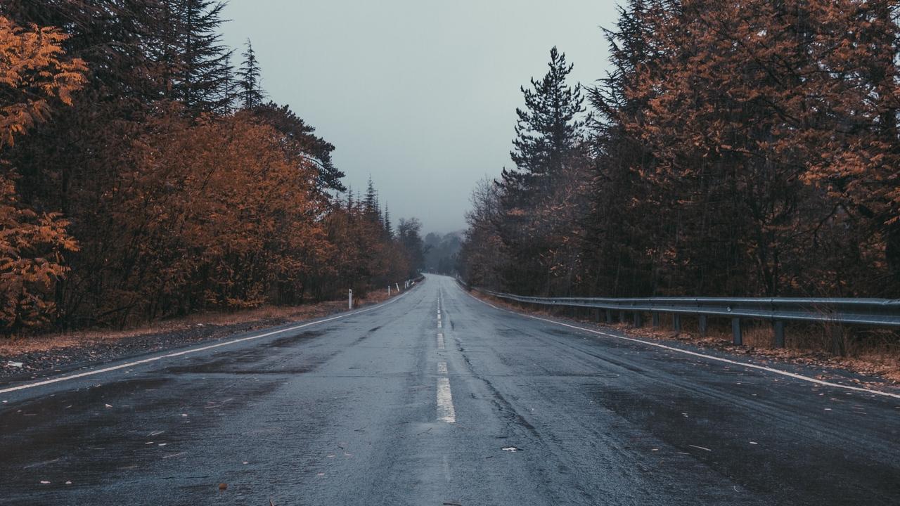 Download wallpaper 1280x720 road, marking, trees, overcast hd, hdv