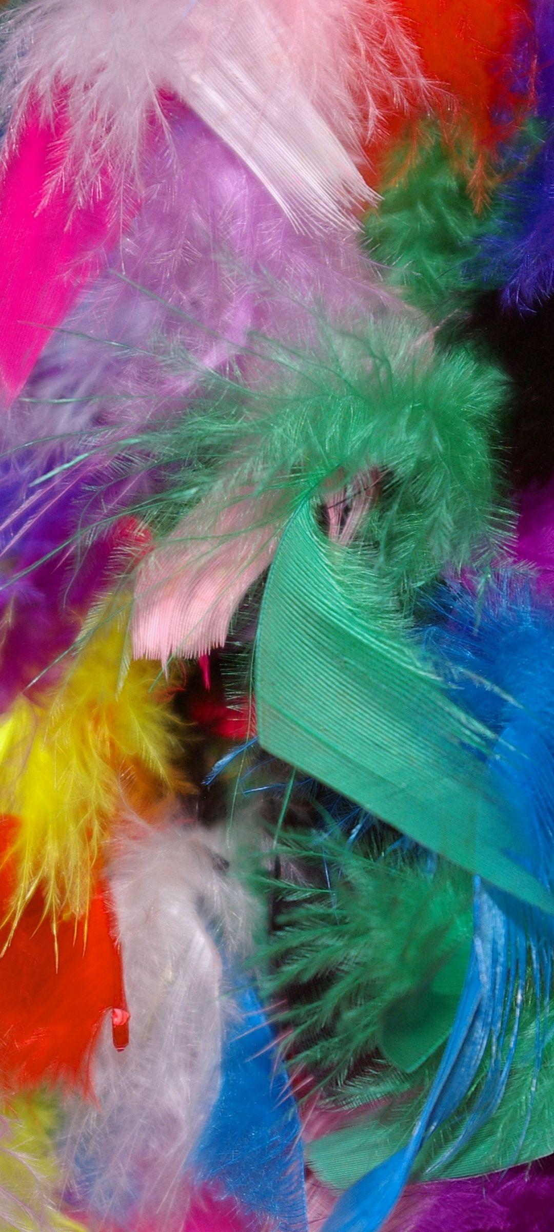 Feathers Backgrounds Colorful