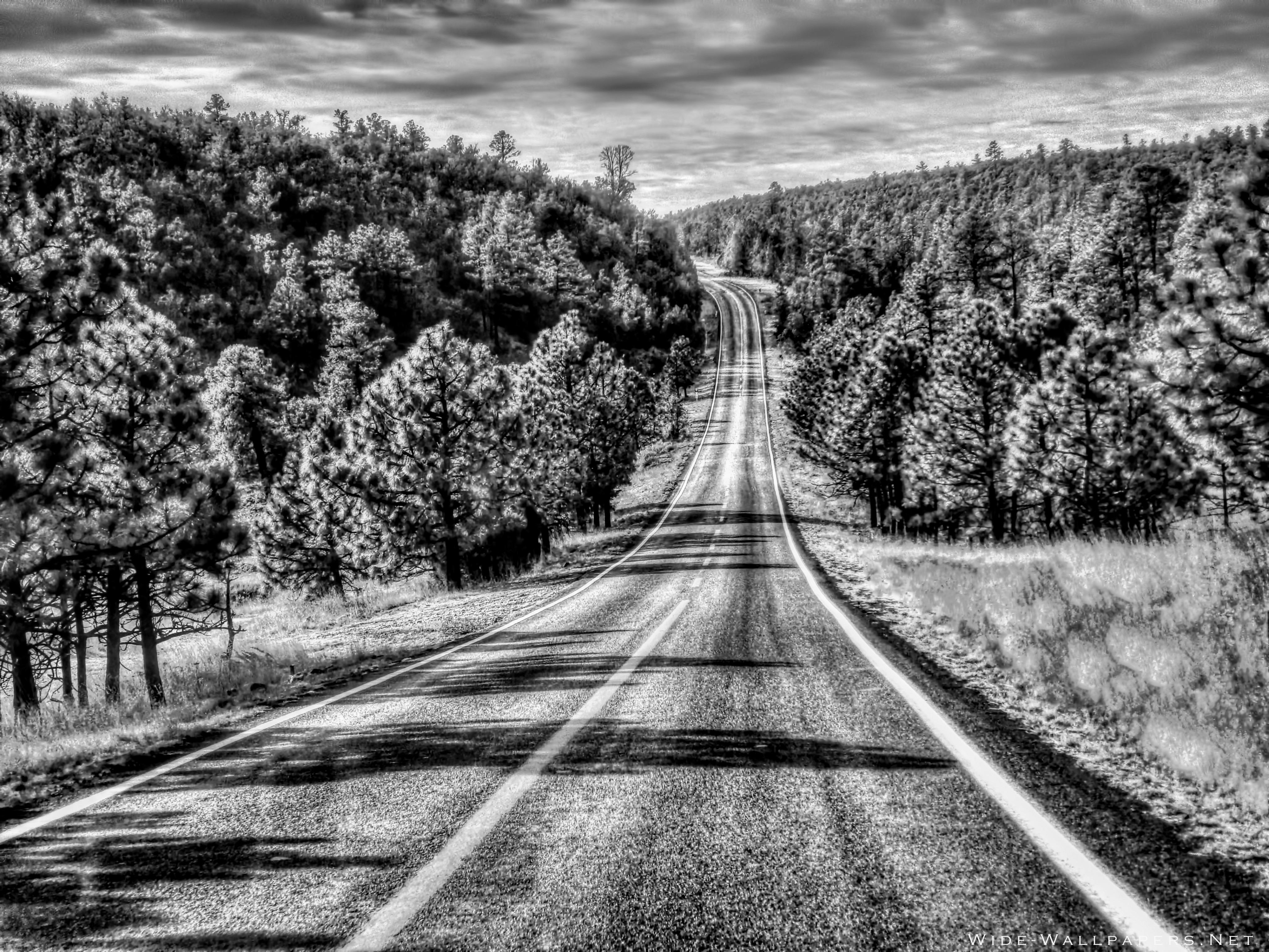 Black and White Road widescreen wallpapers