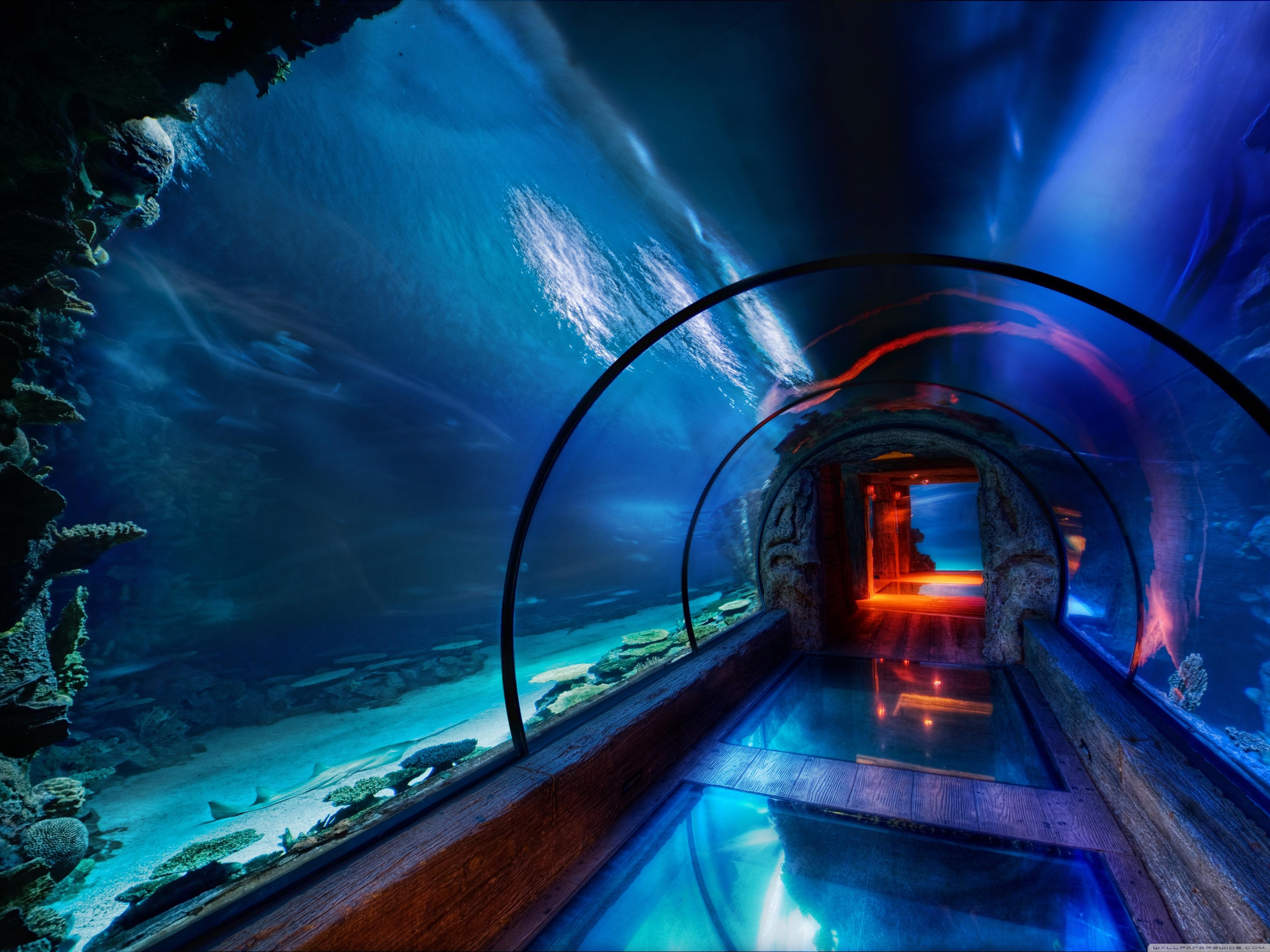 underwater_passage_las_vegas