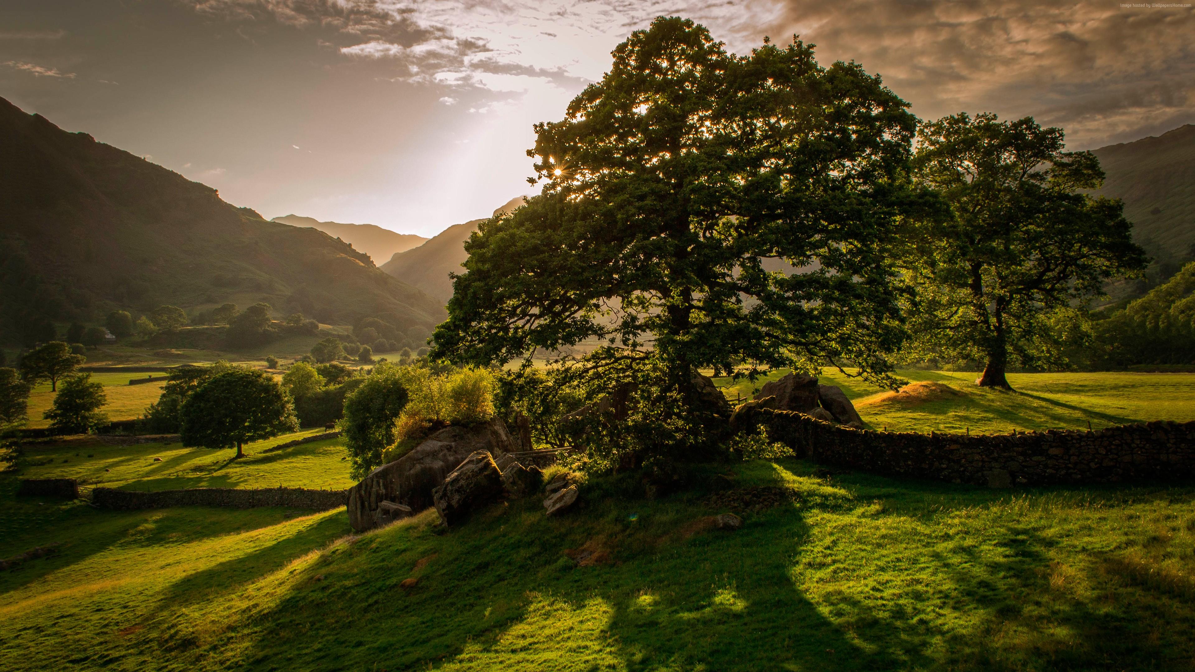 k wallpaper, #trees, #sunset, #hills, #Ireland, k
