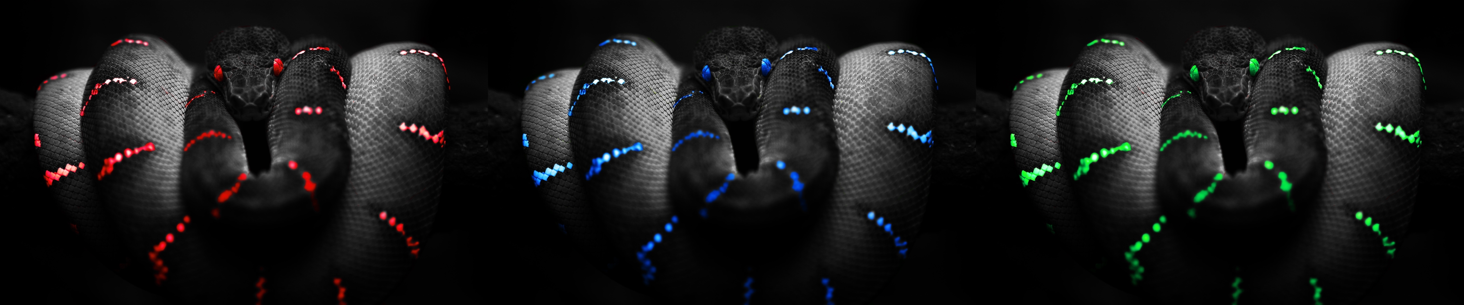 art rainbow of snakes 5040x1050 5040x1050 wallpapers High Quality