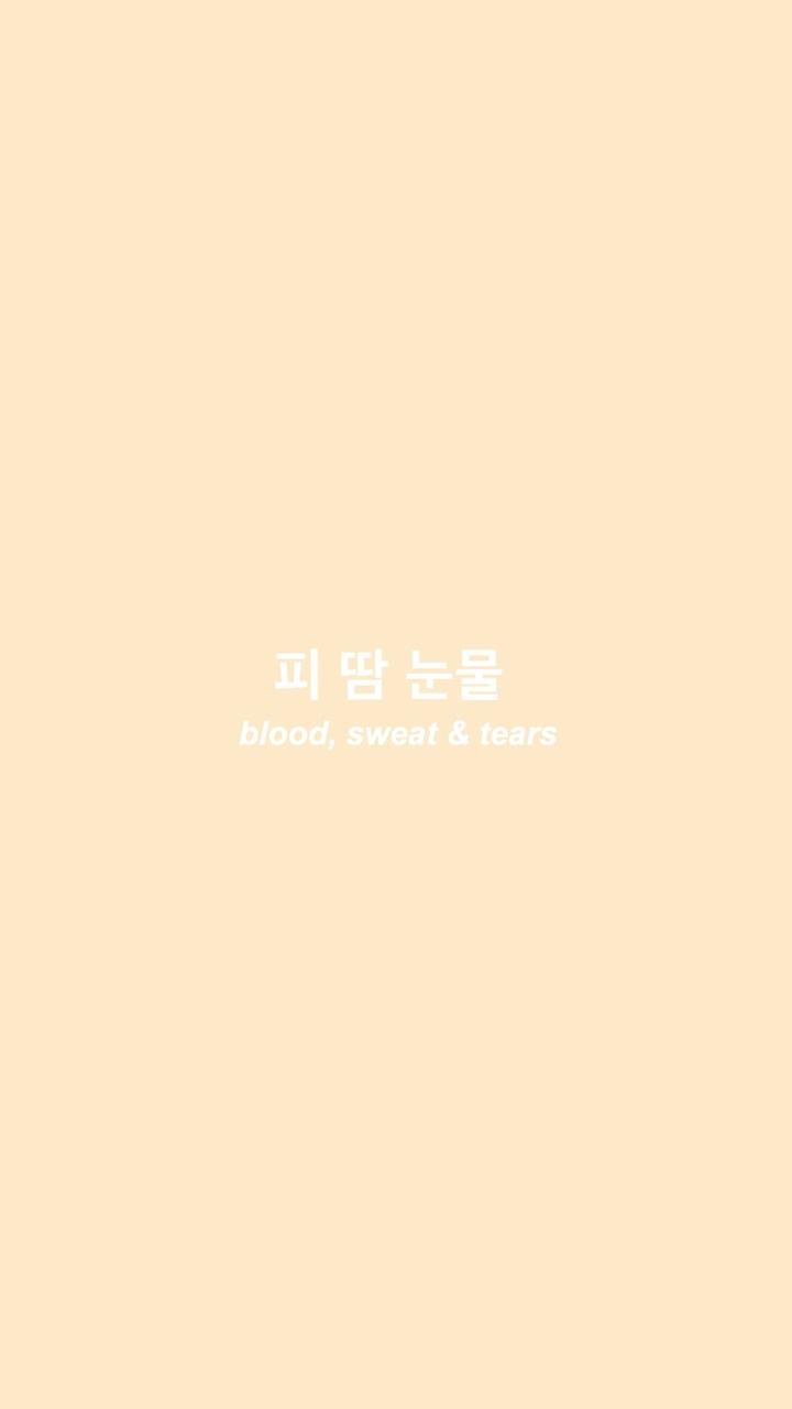 Image about kpop in ➸ ᥕᥲᥣᥣρᥲρᥱr᥉ by ????????????on We