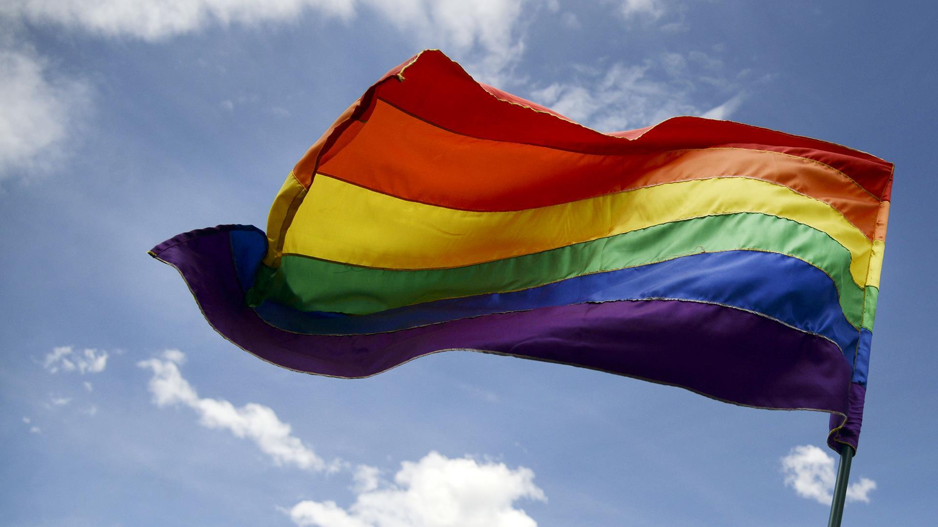 Group of Rainbow Flag Pride Wallpaper