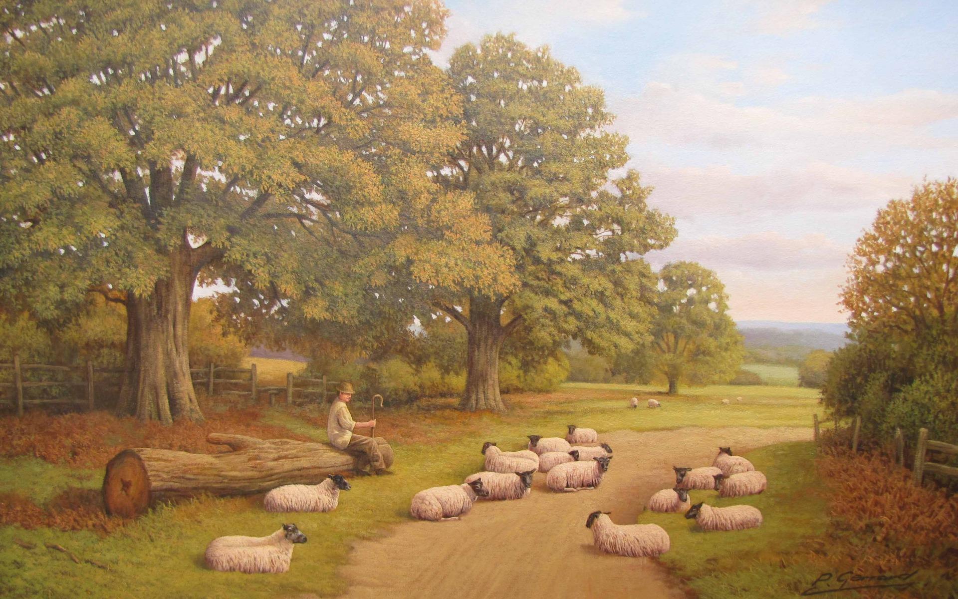 Trees Path Sheeps Shepherd wallpaper. Trees Path Sheeps Shepherd