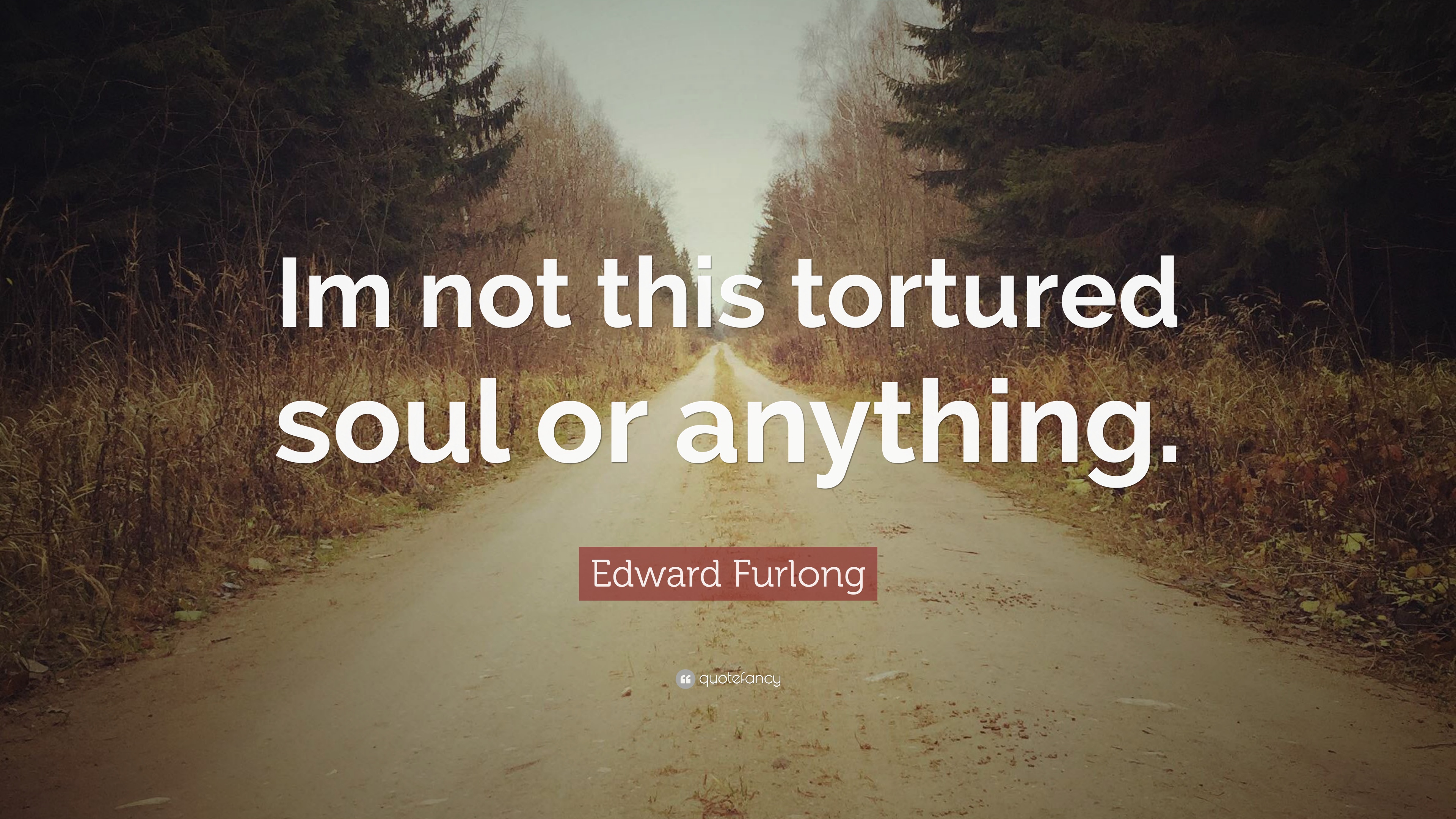 Edward Furlong Quote: “Im not this tortured soul or anything.” 7