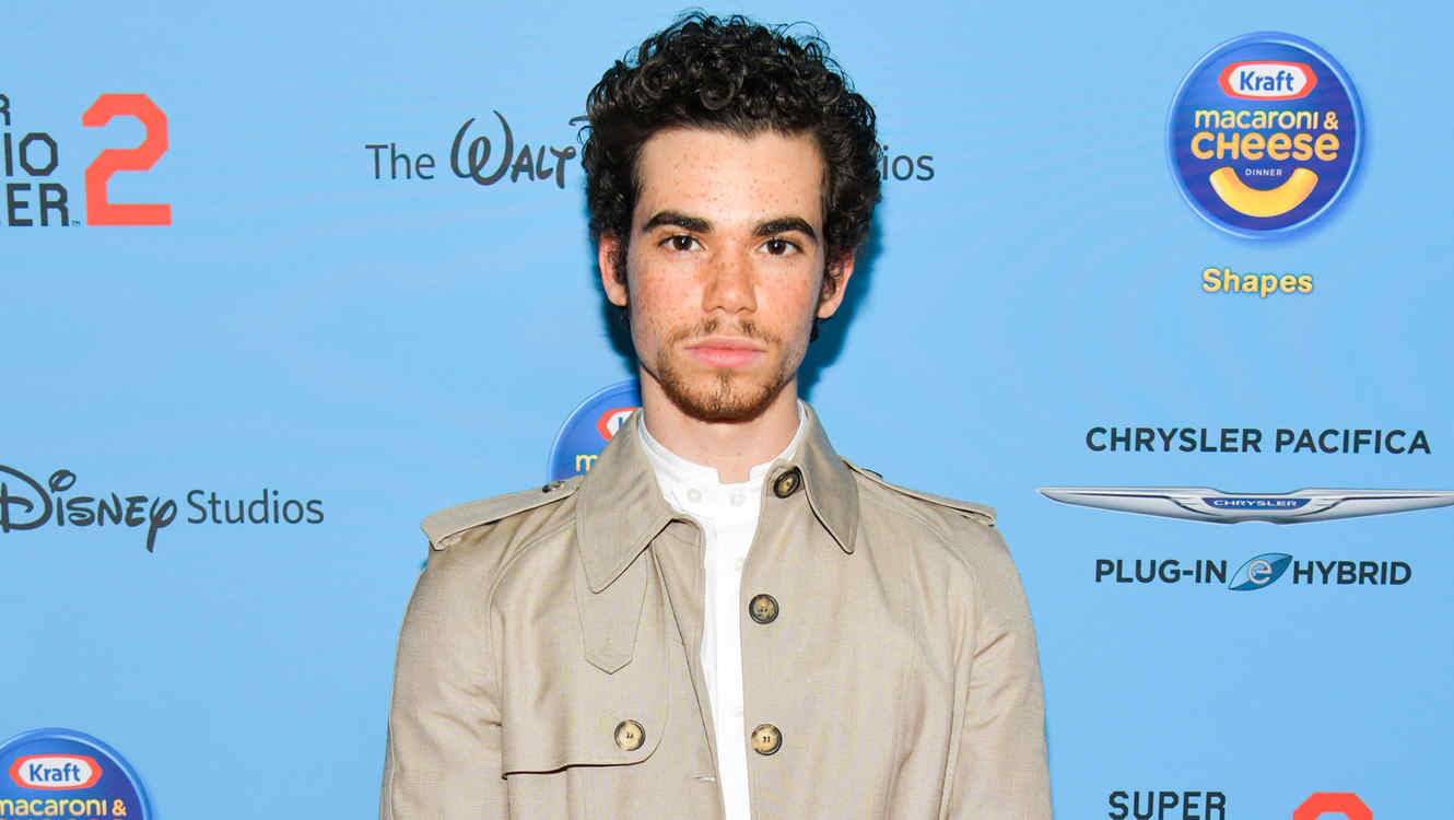 Descendants 3' Premiere Has Been Cancelled After Tragic Death