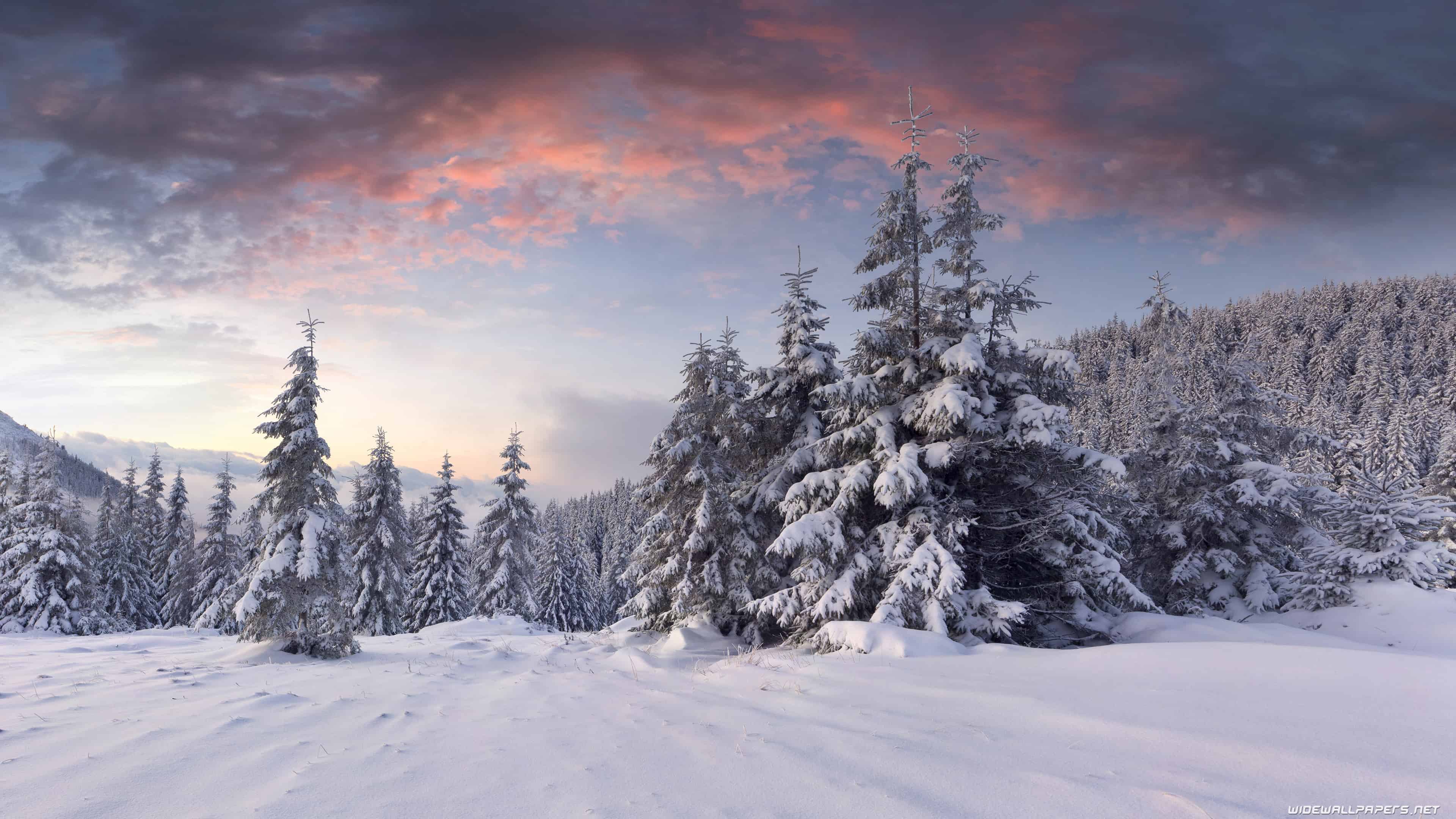 Winter Wallpaper. Best Wallpaper HD