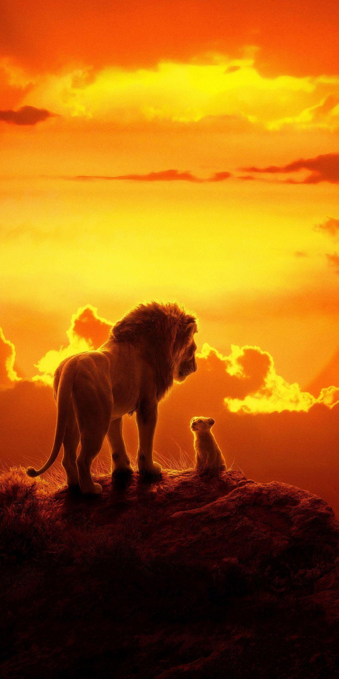 The lion king, lion and cub, 2019 movie, 1080x2160 wallpaper. Movie