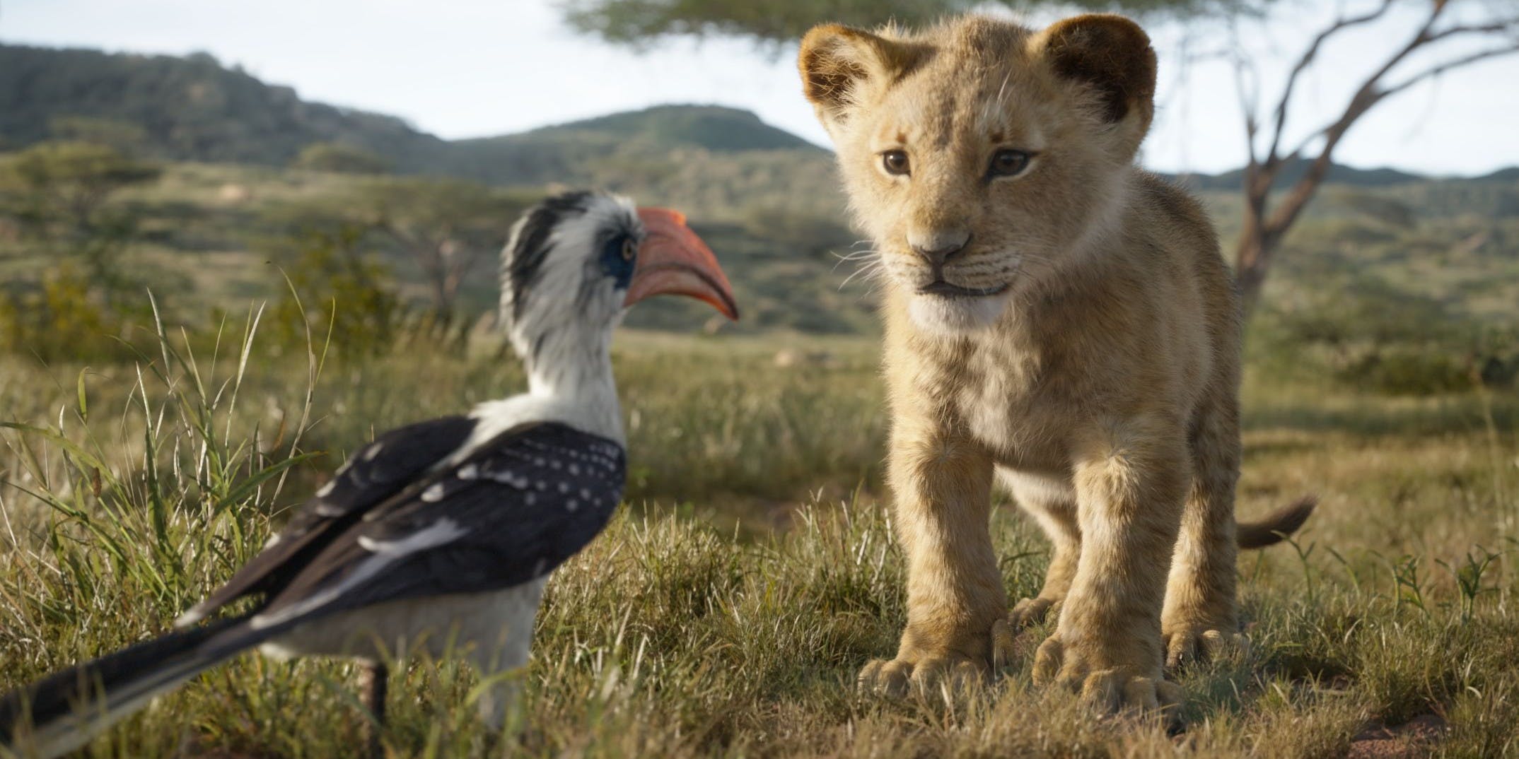 The Lion King (2019) Image Spotlight Timon, Pumbaa & More