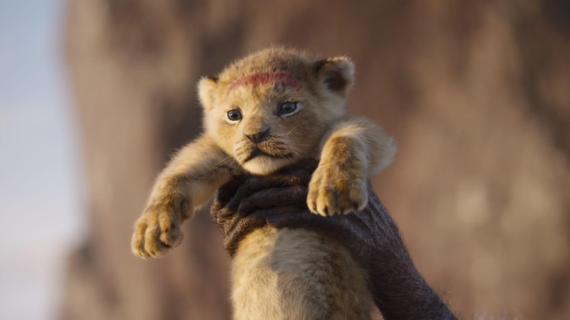 The Lion King Reviews Round Up: Critics Say Timon And Pumbaa Steal