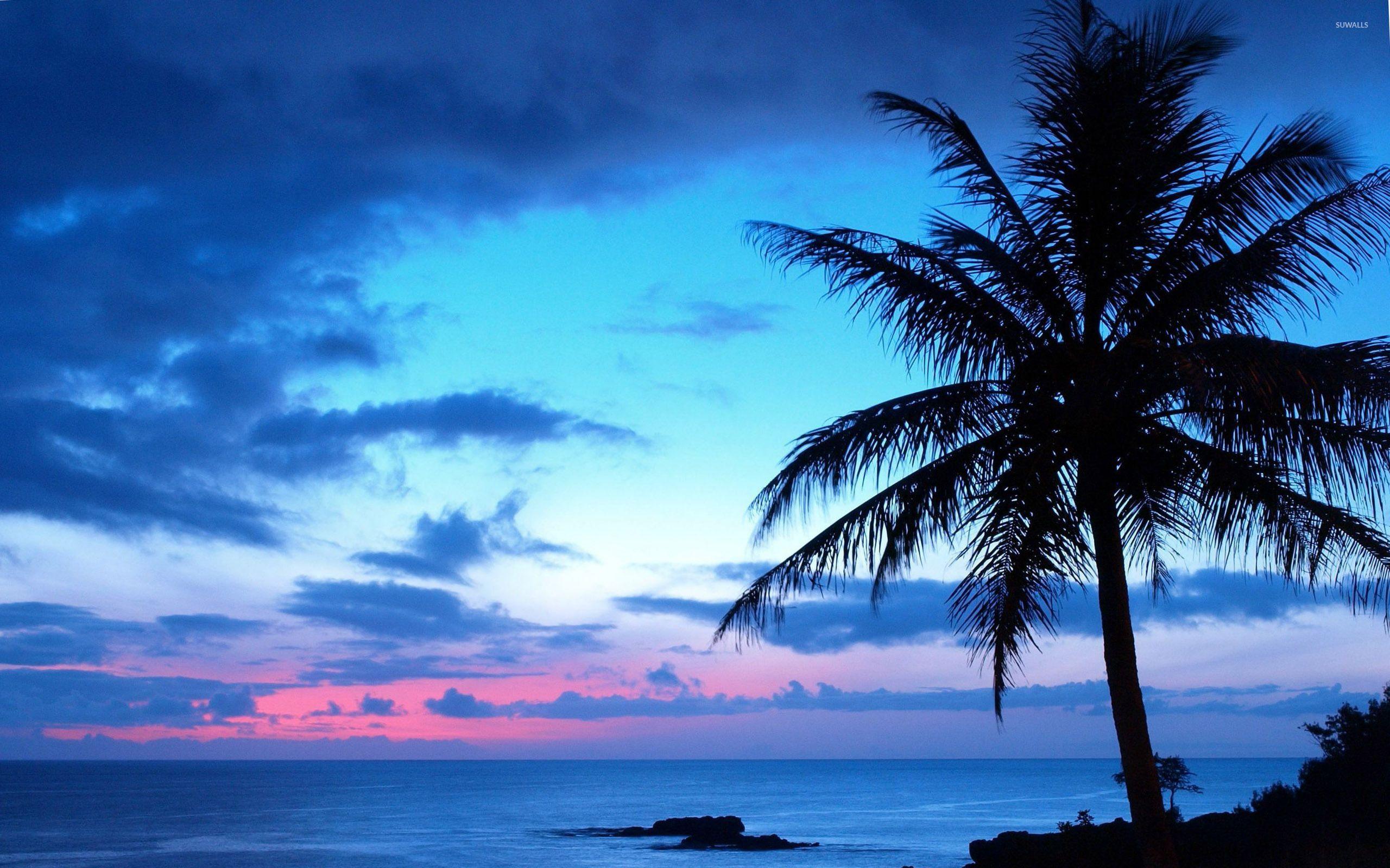 Blue Sunset Beach Wallpaper