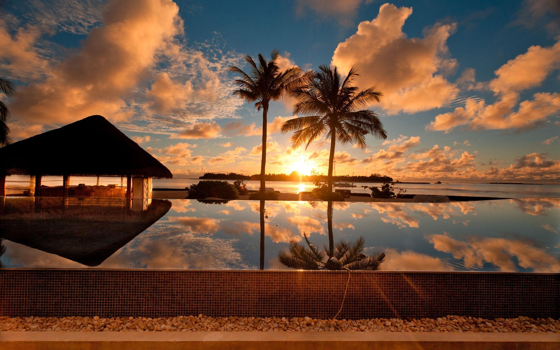 Sunset, At, Palm, Beach, Nature, Beautiful, Desktop, Background
