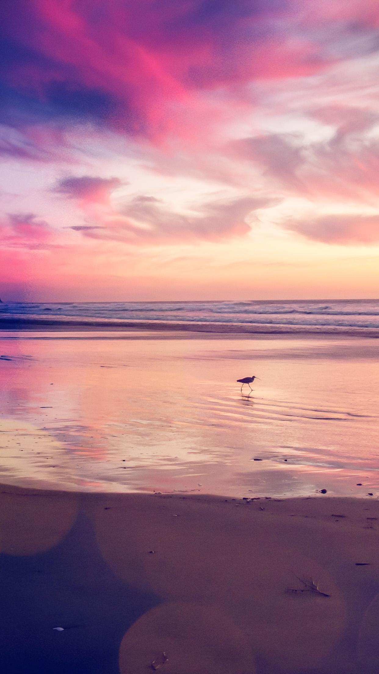iPhone 8 wallpaper. sunset beach bird red