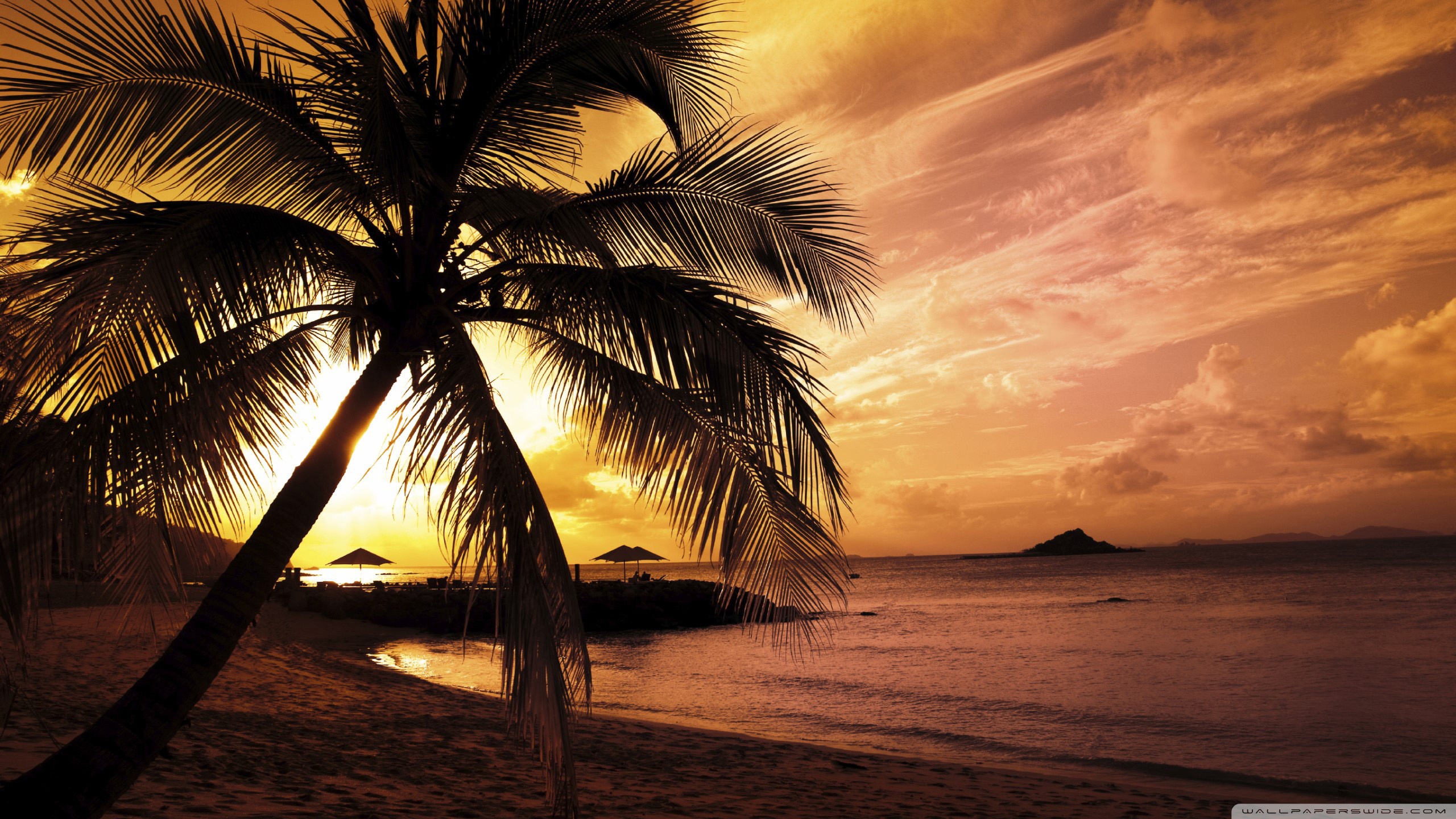 Tropical Beach Sunset ❤ 4K HD Desktop Wallpaper for 4K Ultra HD TV