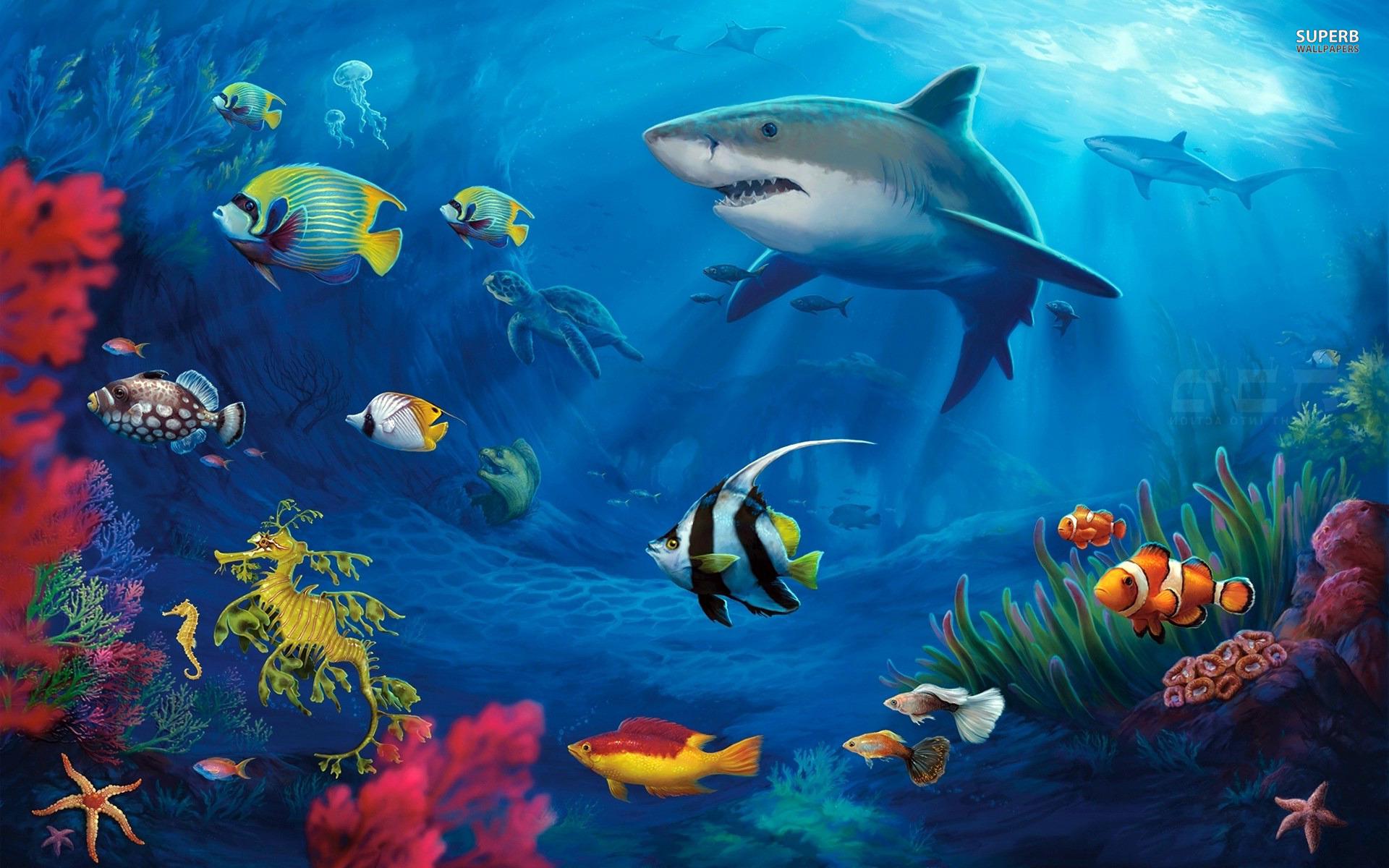 underwater, Life Wallpaper HD / Desktop and Mobile Background