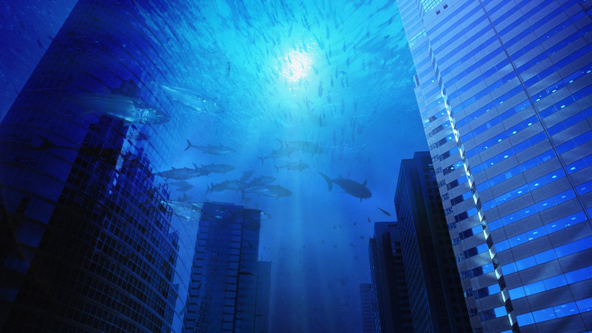 Life Underwater Wallpaper 1920x1080