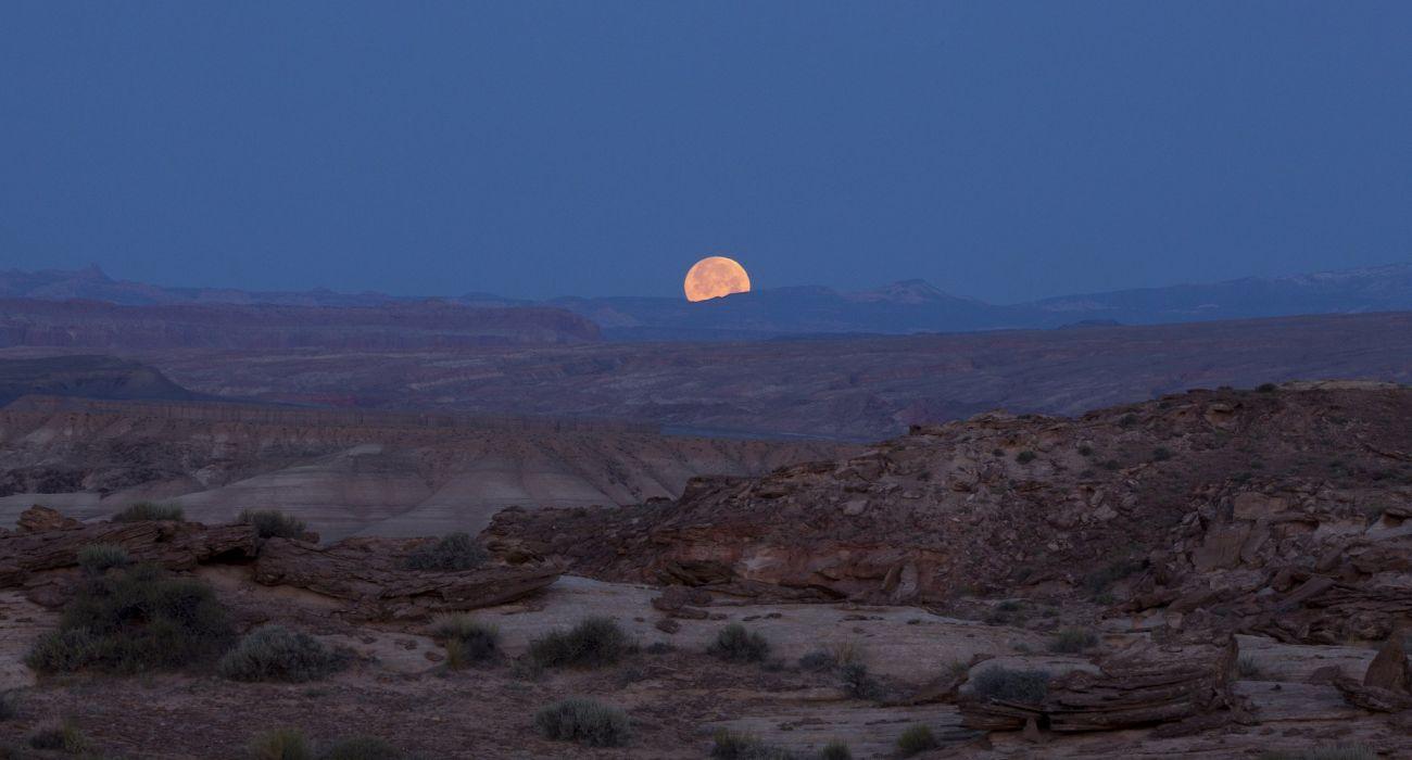 Desert canyon rocks bushes moon sky landscape nature wallpaper