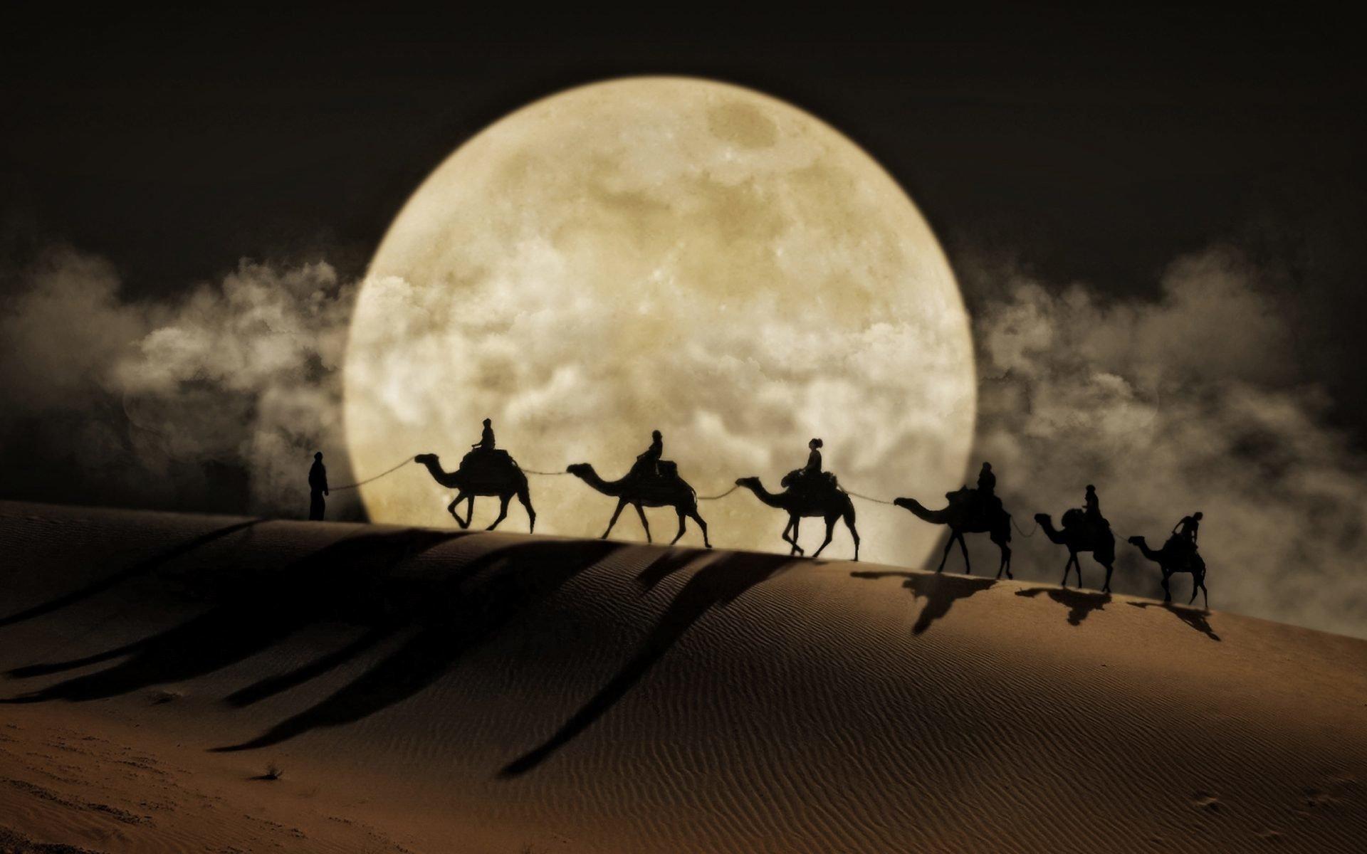 Silhouettes in the Desert Moon HD Wallpaper. Background Image
