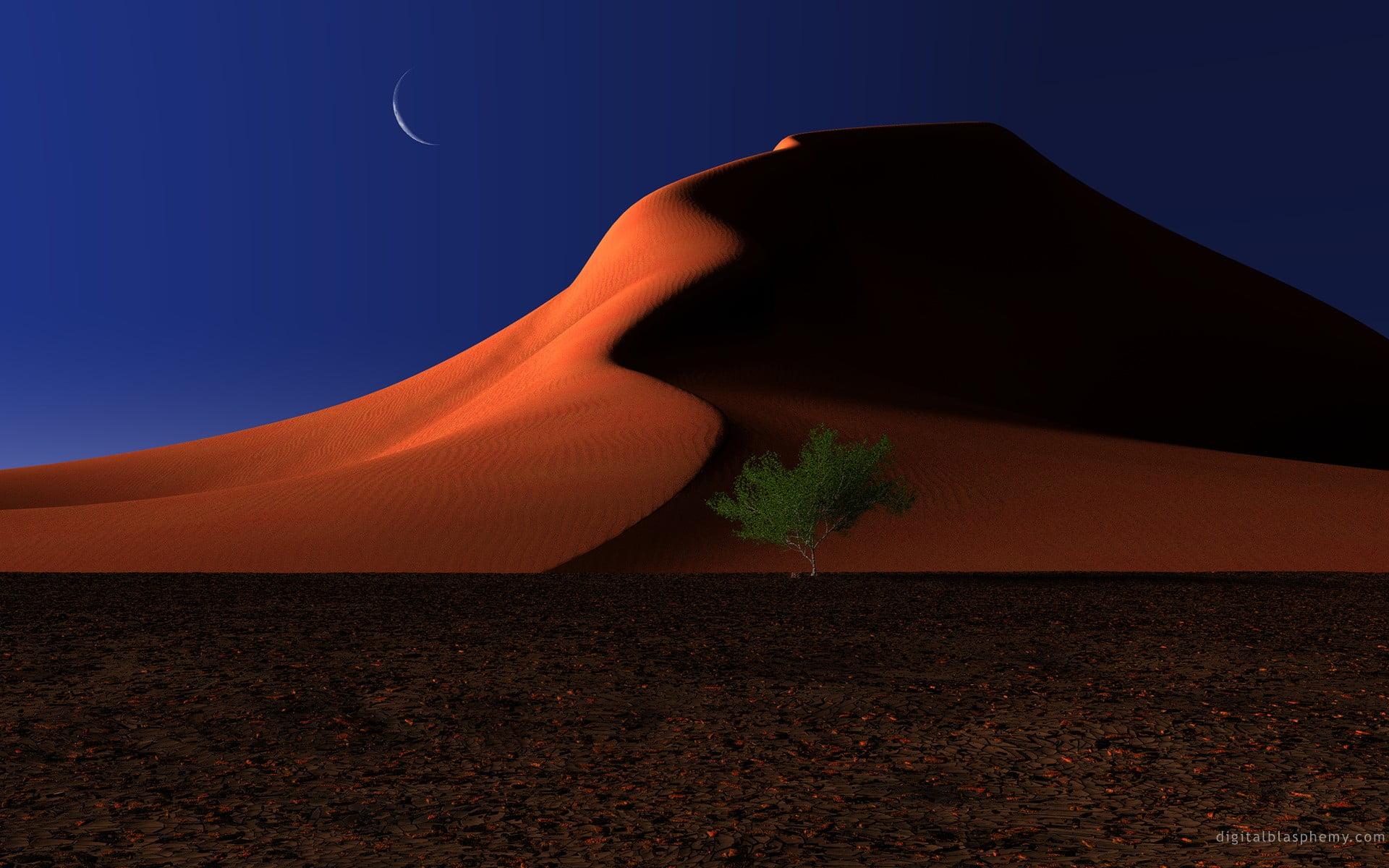 Red and black plastic bed frame, desert, Moon, night, trees HD