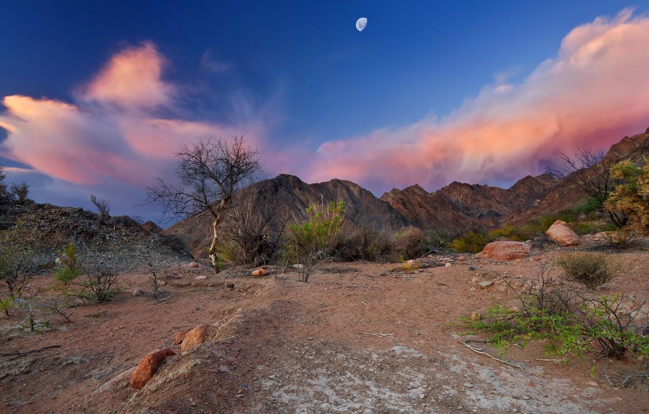 Wallpaper the sky, mountains, the moon, desert, Argentina, Chaco