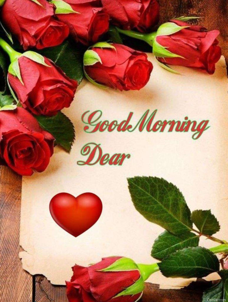Good Morning Rose Flowers Image Picture With Romantic, Red Roses