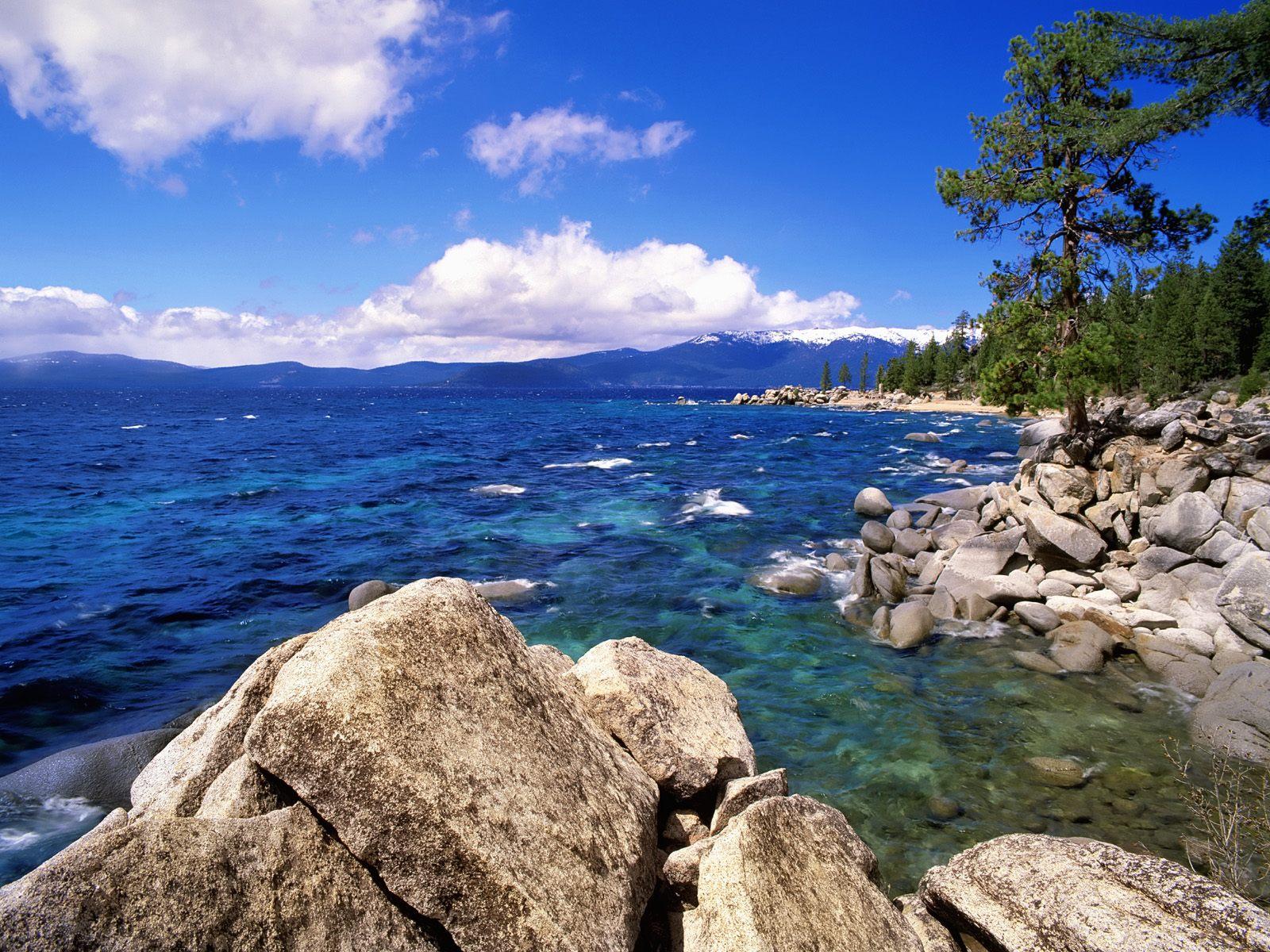 Pet Resort, Lake Tahoe Lodging Pet Friendly