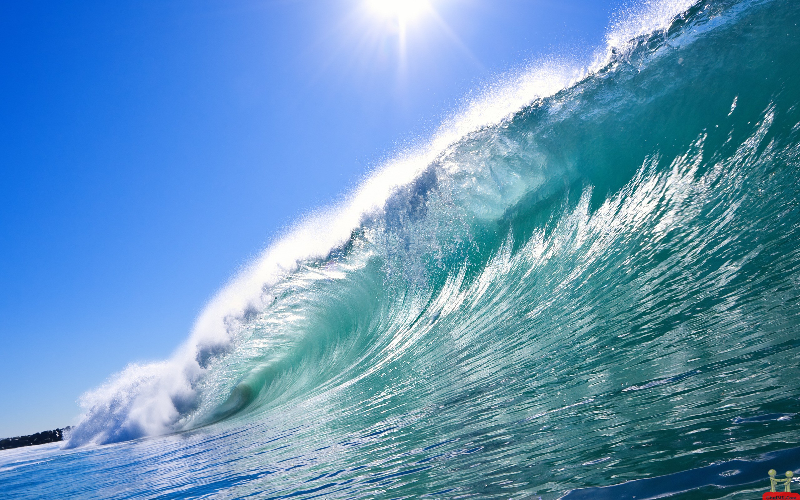 Beautiful Beach Waves