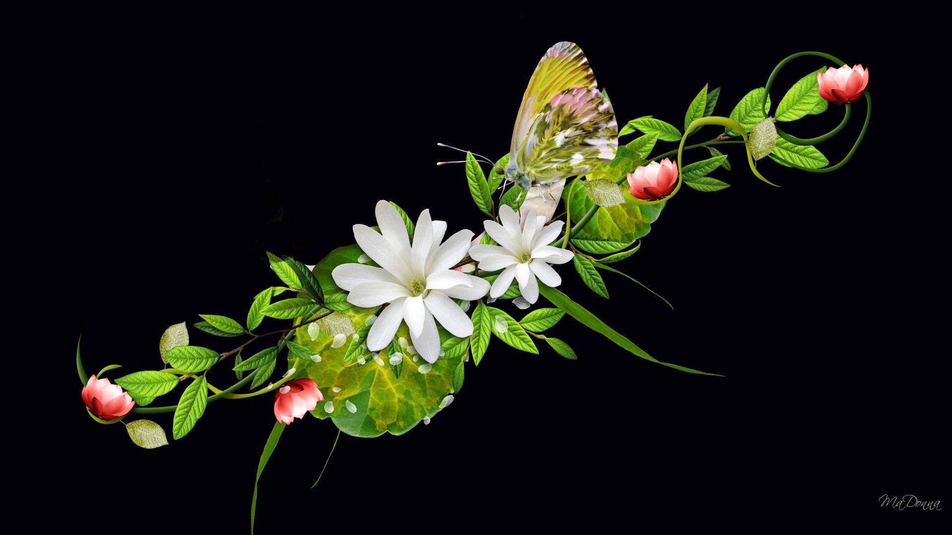 Wp Content Uploads 2013 03 Green Leaves Flowers And Beautiful Butterfly HD. Bunga, Menggambar Bunga, Gambar