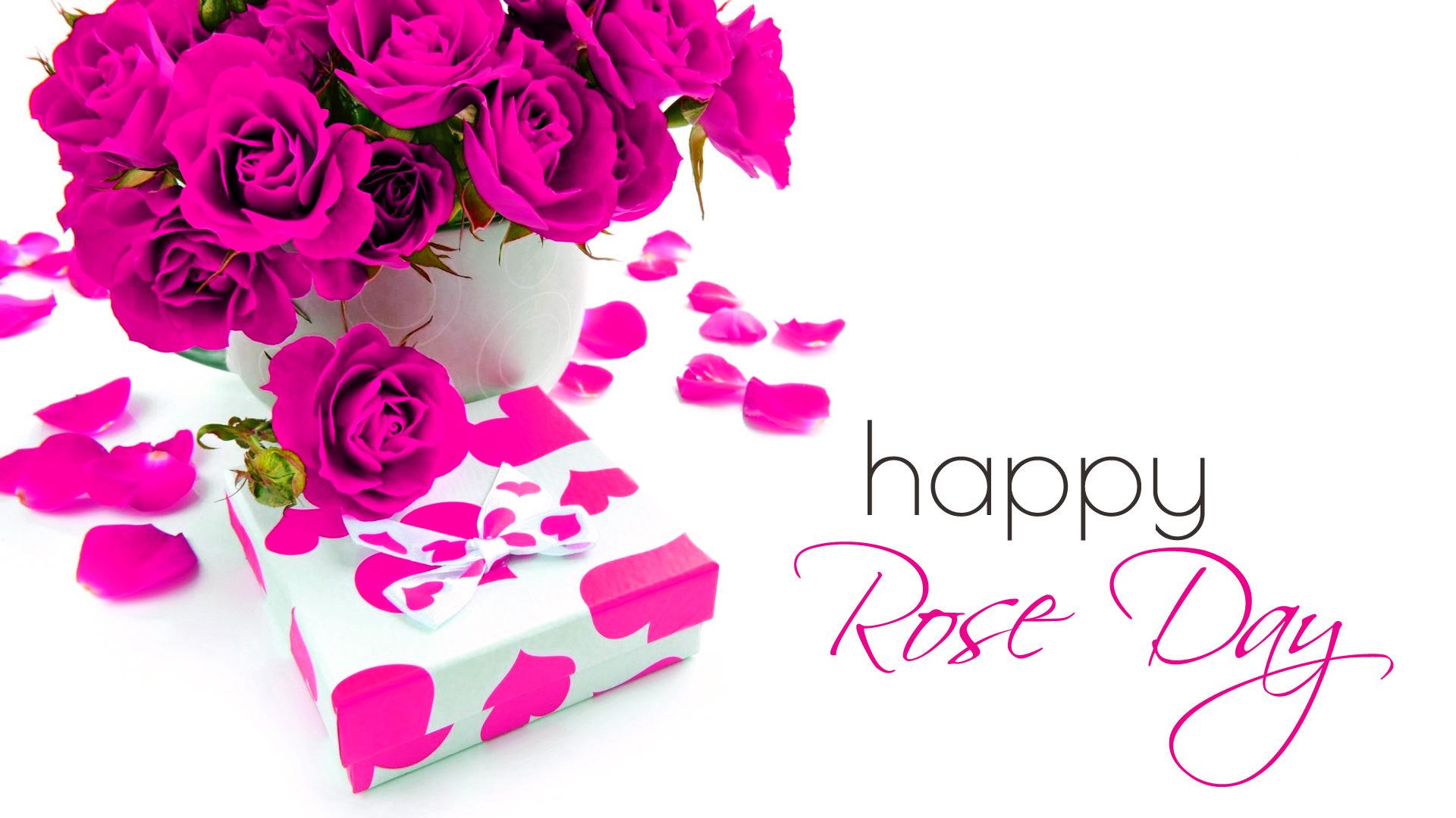 7th Feb Rose Day Wallpaper HD. All .trueshayari.in