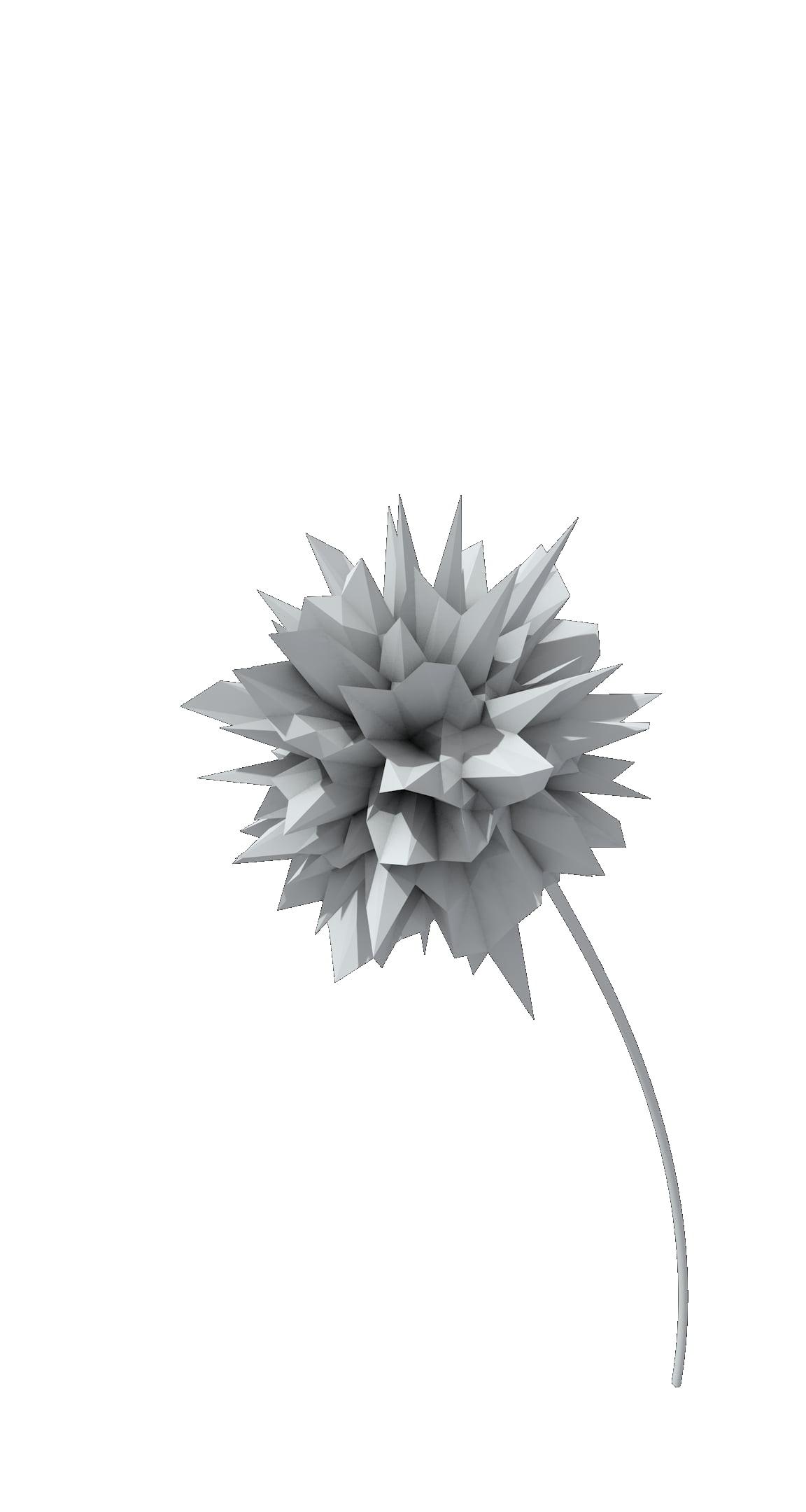 3D origami flower, render, no background, flowers, abstract HD