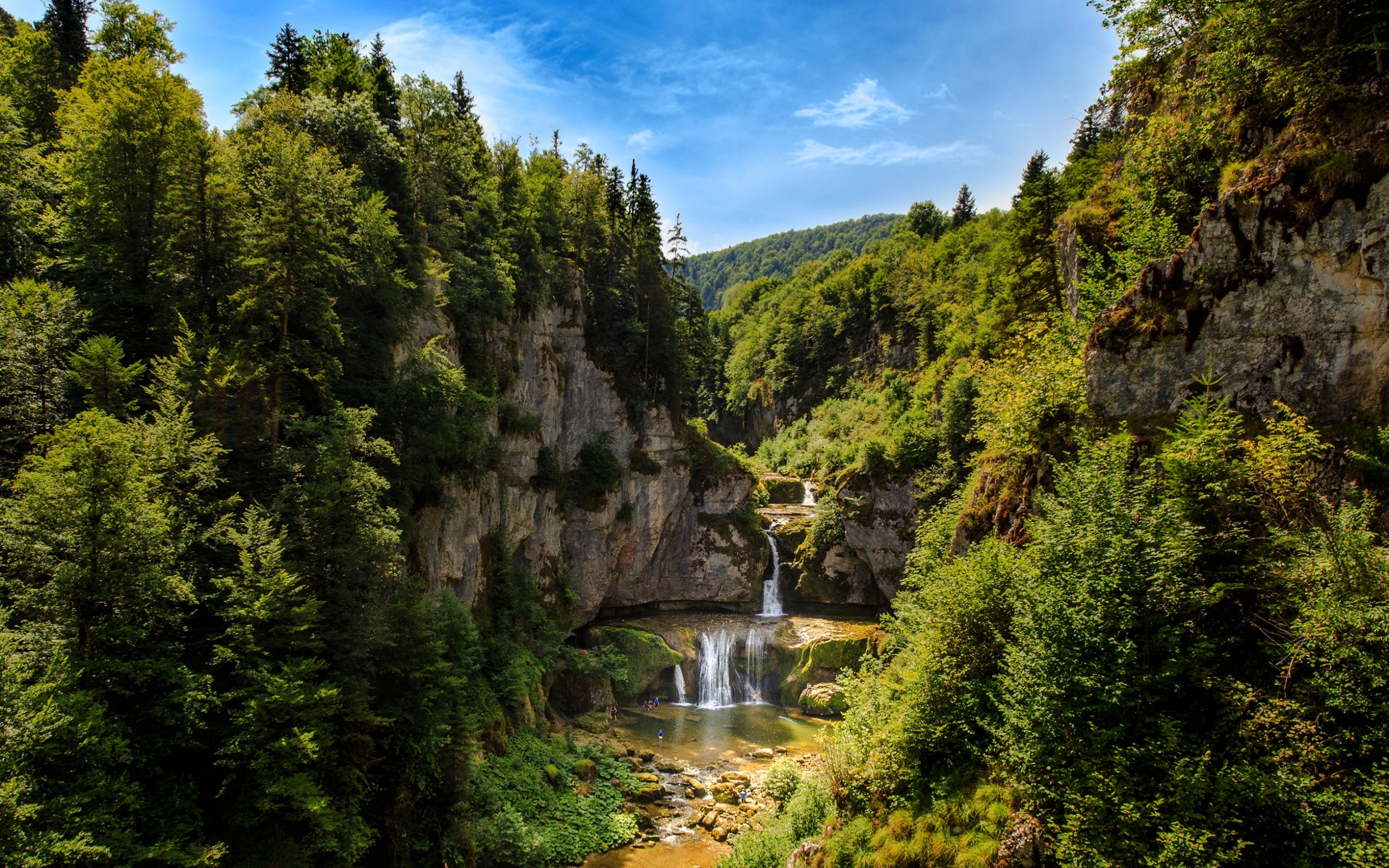 Download wallpaper Forest, waterfall, summer, river, mountains