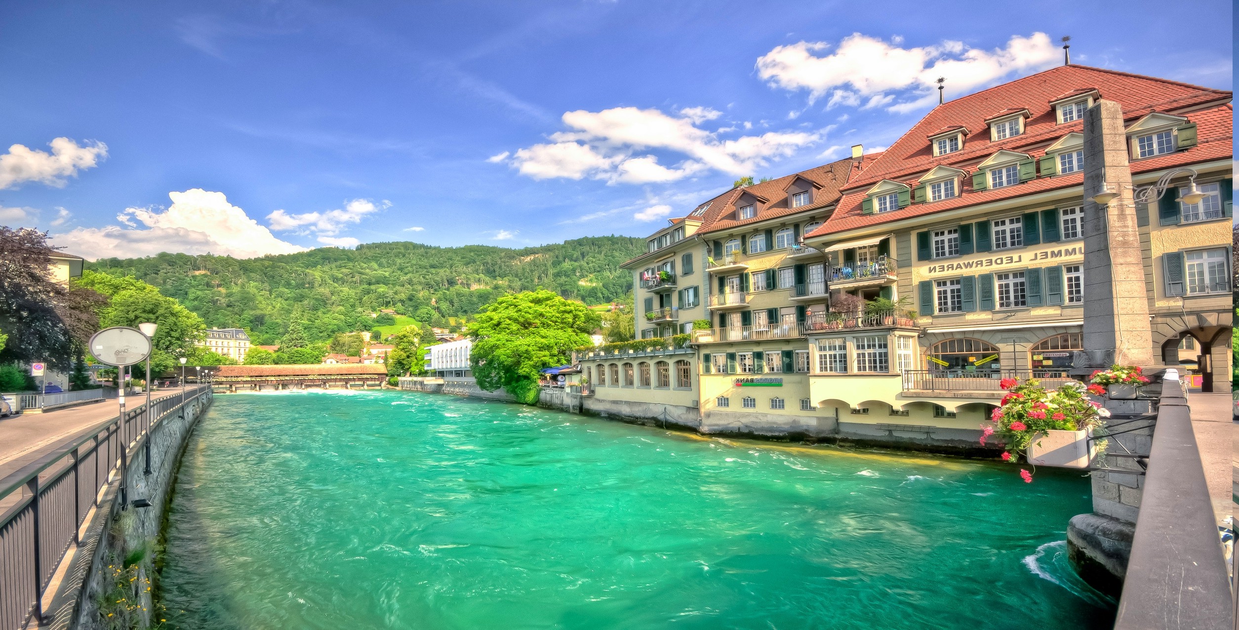 Switzerland, Hotels, River, Hill, Flowers, Forest, Water, Summer
