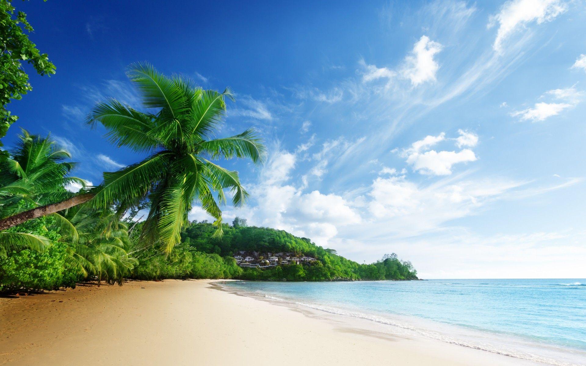 Tropical Landscape Beach Scenery Wallpaper at