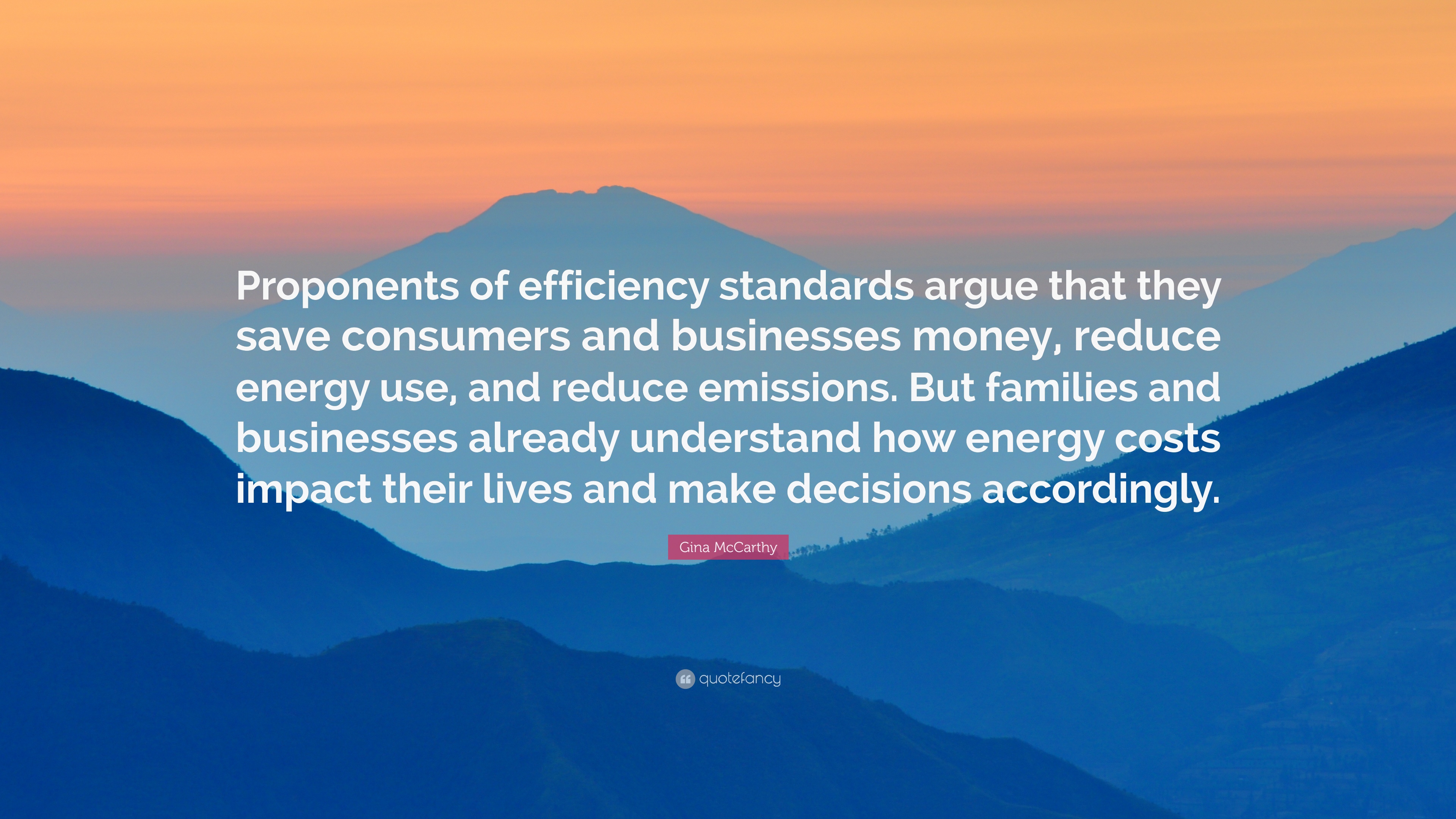 Gina McCarthy Quote: “Proponents of efficiency standards argue that