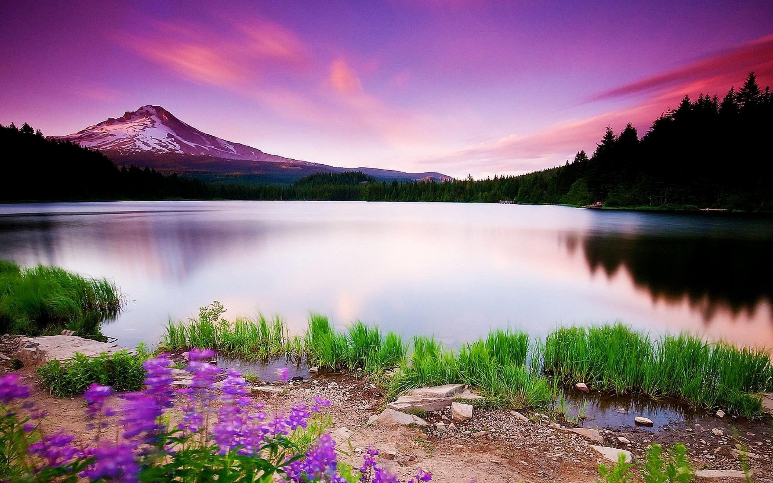 Landscape With Mountain, Lake And Flowers Wallpapers - Wallpaper Cave