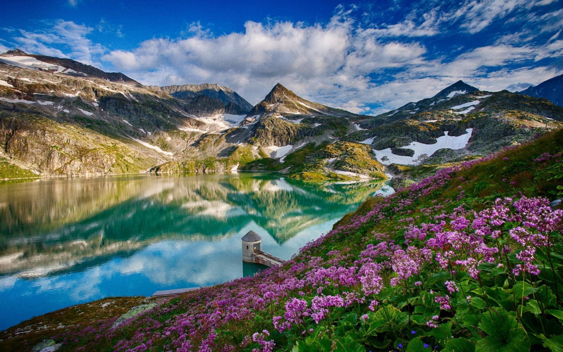 landscape mountain lake flowers reflection wallpaper