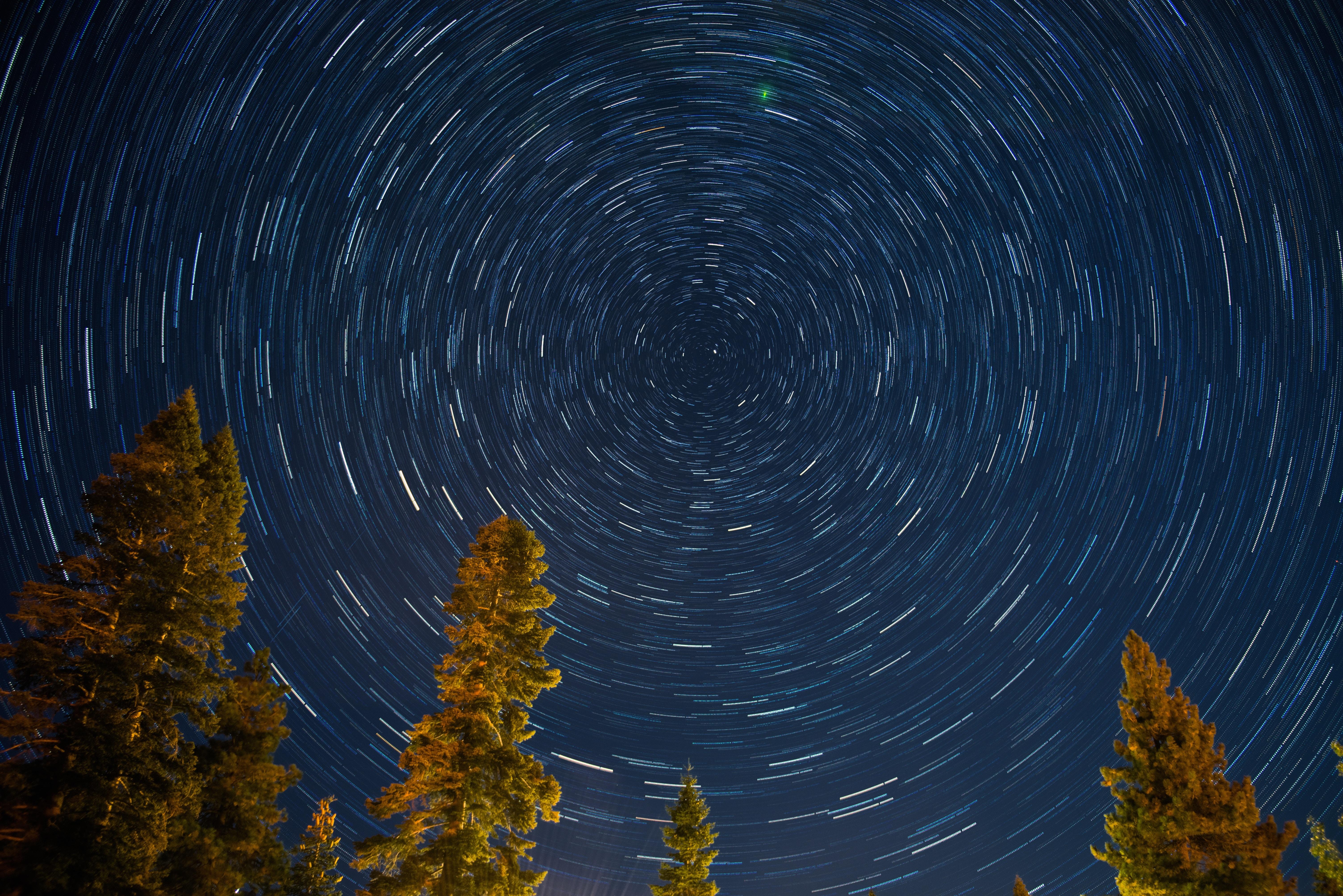 Tree Night Star Trail Wallpapers - Wallpaper Cave