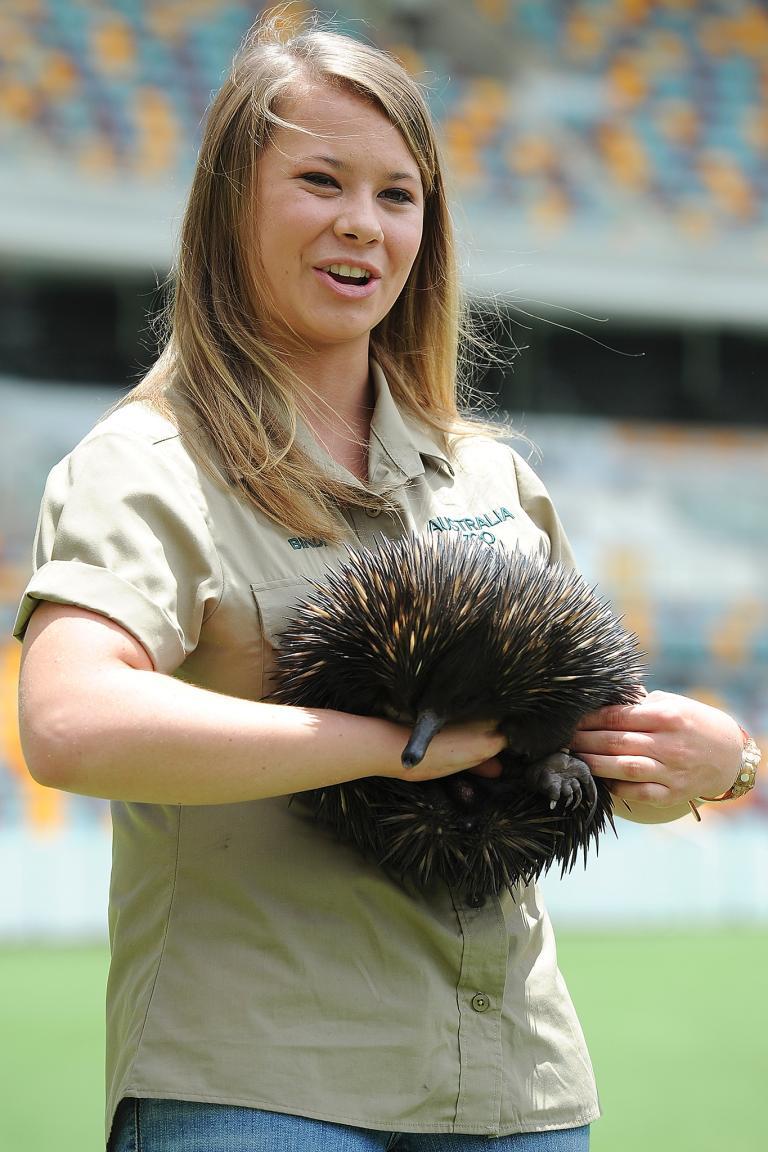 Bindi Irwin Wallpapers - Wallpaper Cave