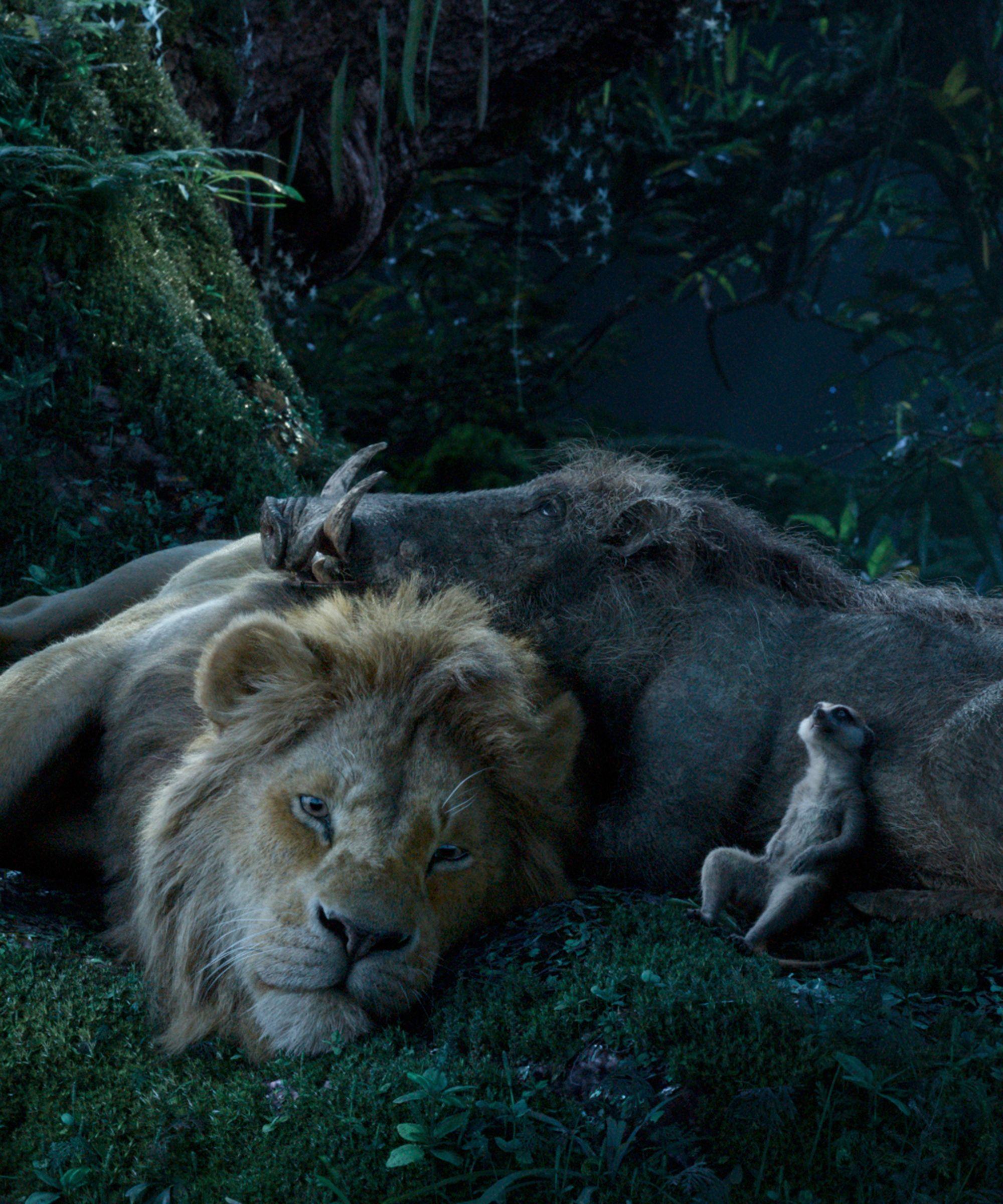 Lion King Pumbaa Poster Sparks Controversy Twitter