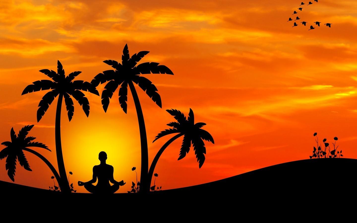 Download 1440x900 Yoga, Palm Trees, Back View, Meditation, Sunset