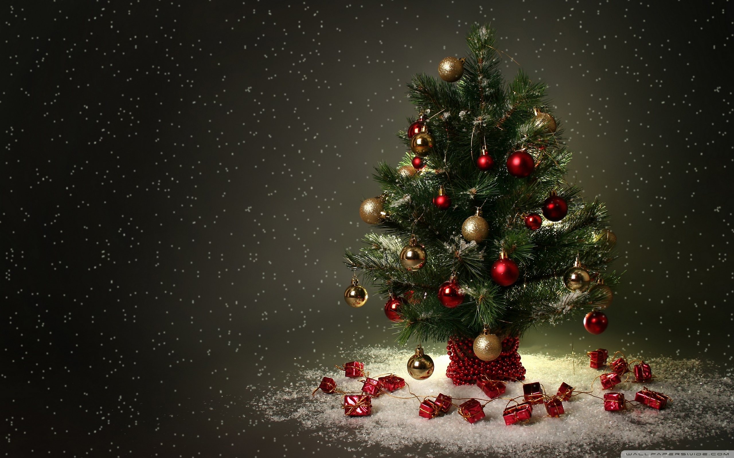 Small Christmas Tree Ultra HD Desktop Background Wallpaper for 4K UHD TV, Tablet