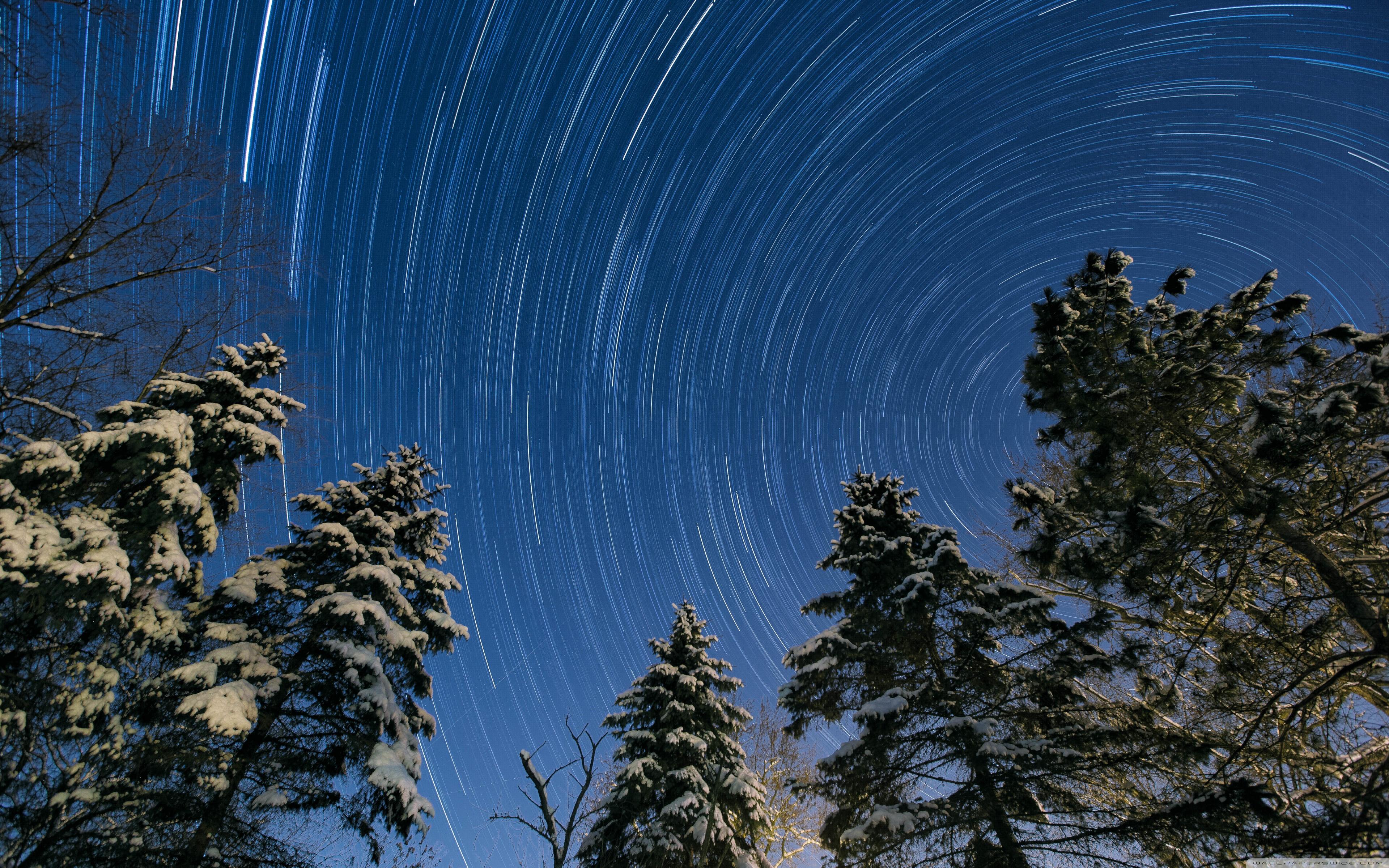 Winter, Night, Star Trail, Snowy Trees ❤ 4K HD Desktop Wallpaper
