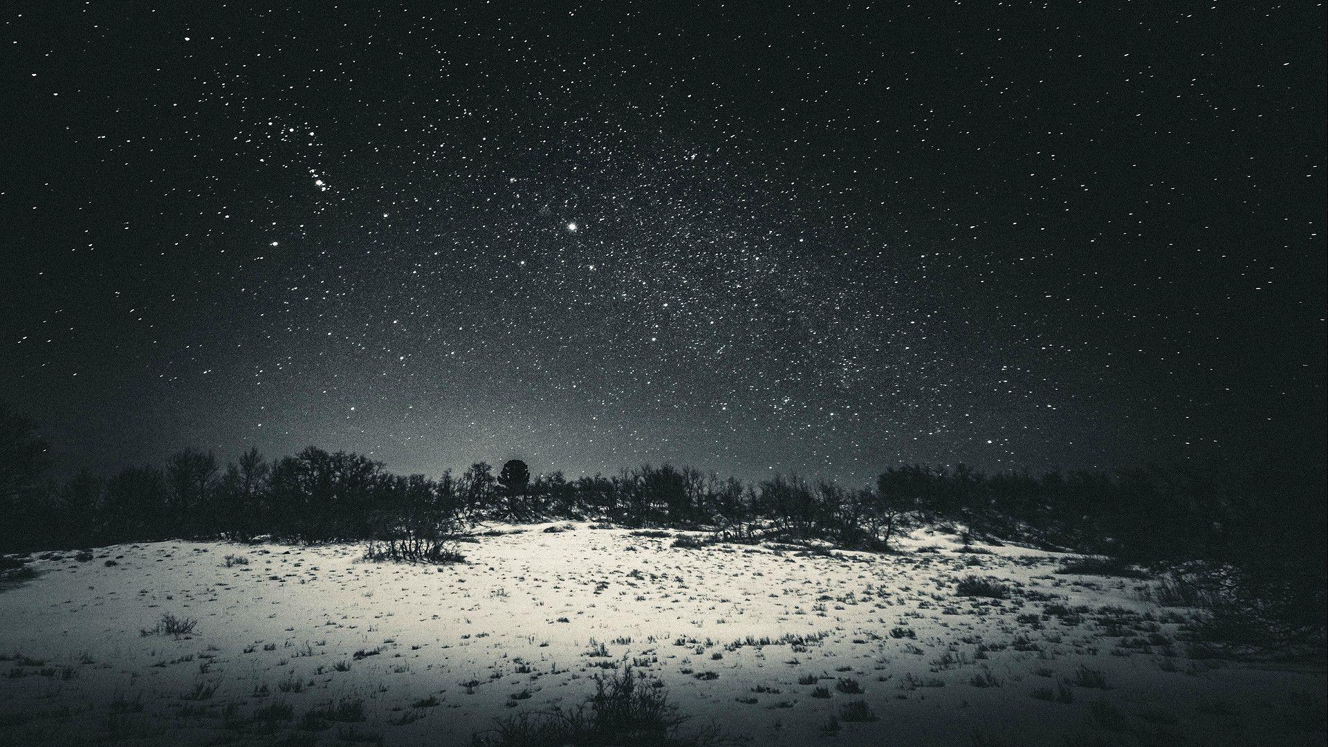1920x1080 snow stars forest clearing nature landscape star