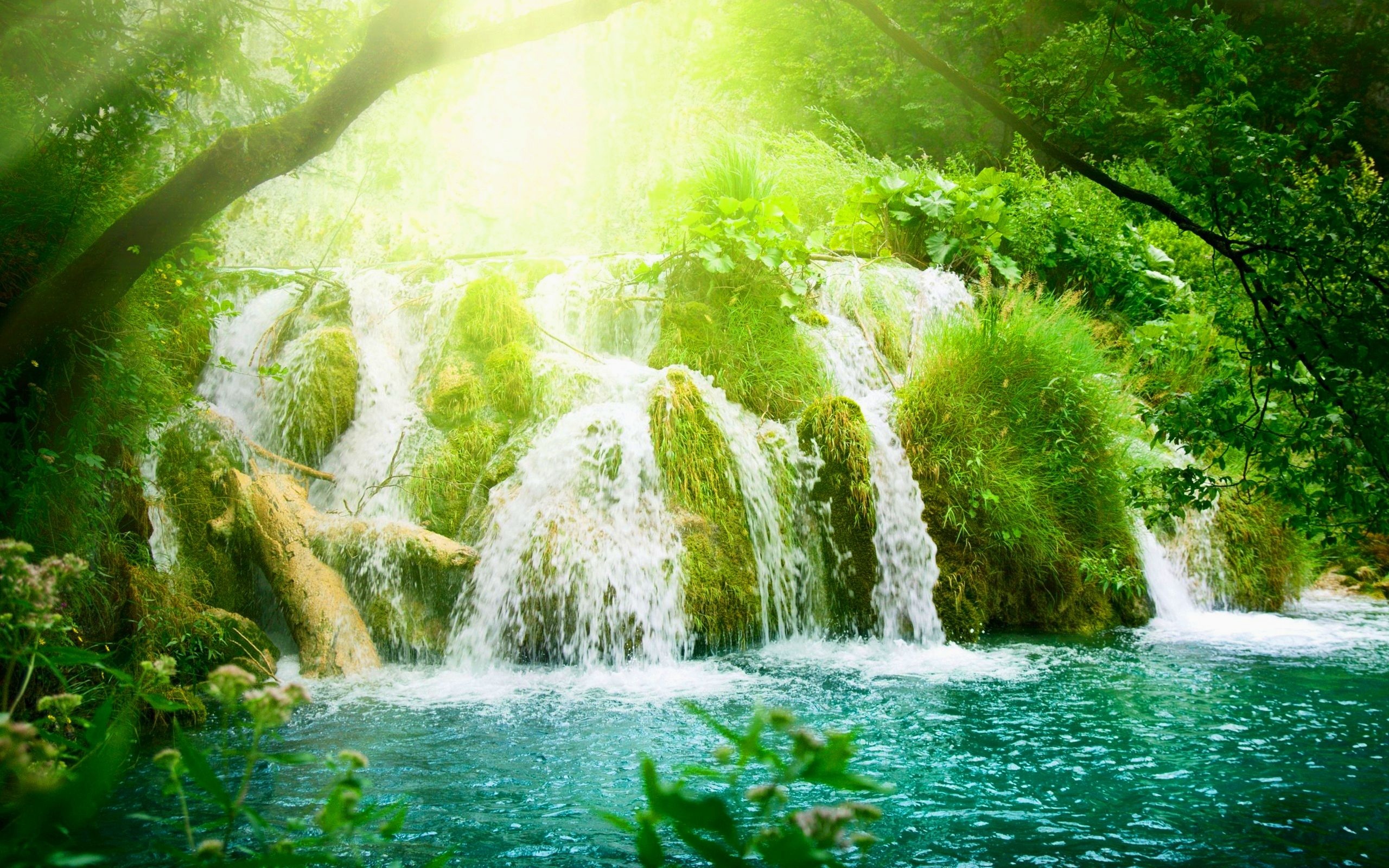 Paradise River Waterfalls Wallpaper In A Forest, HD