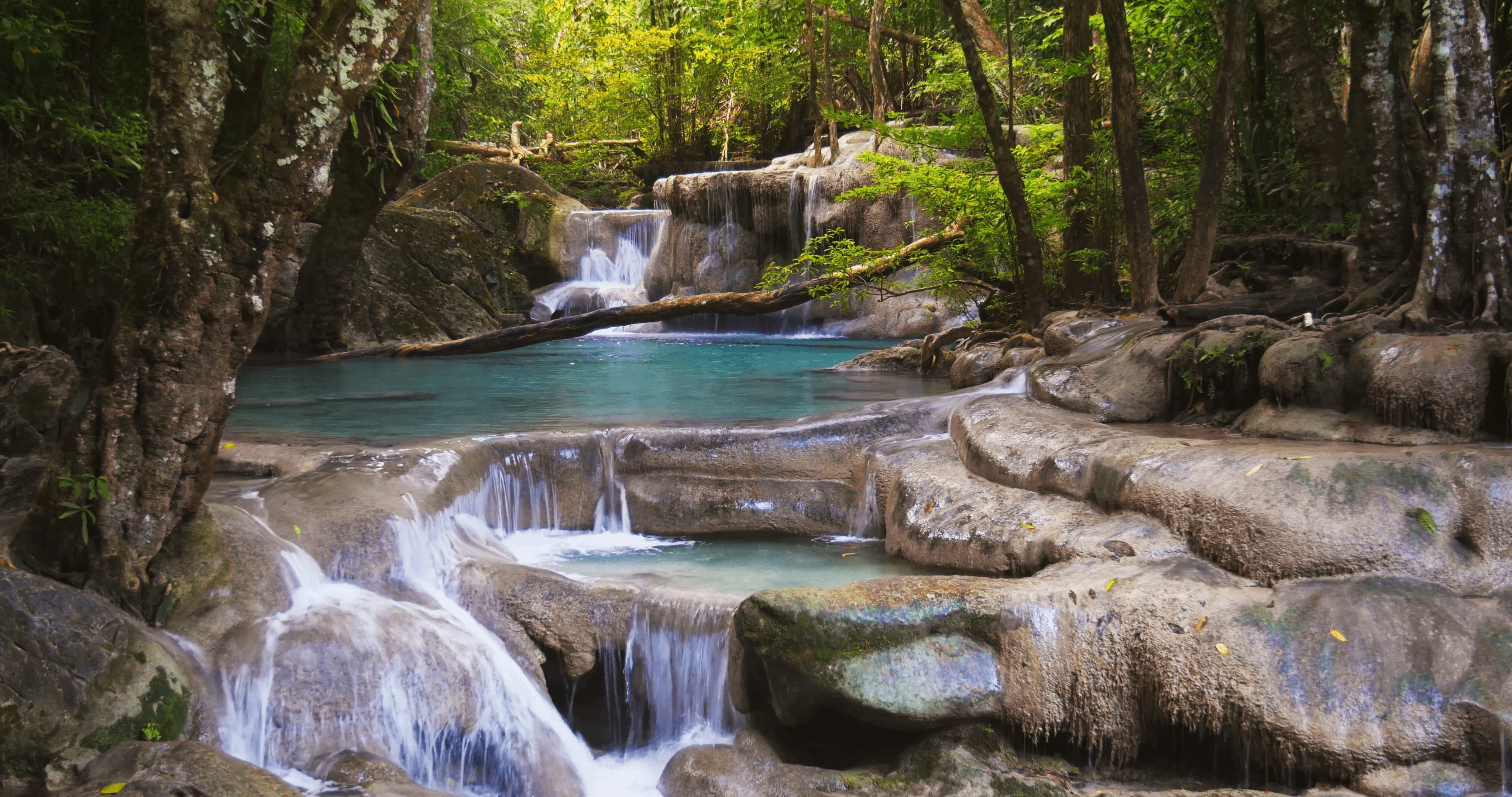Tropical rainforest paradise background. Mountain river flows