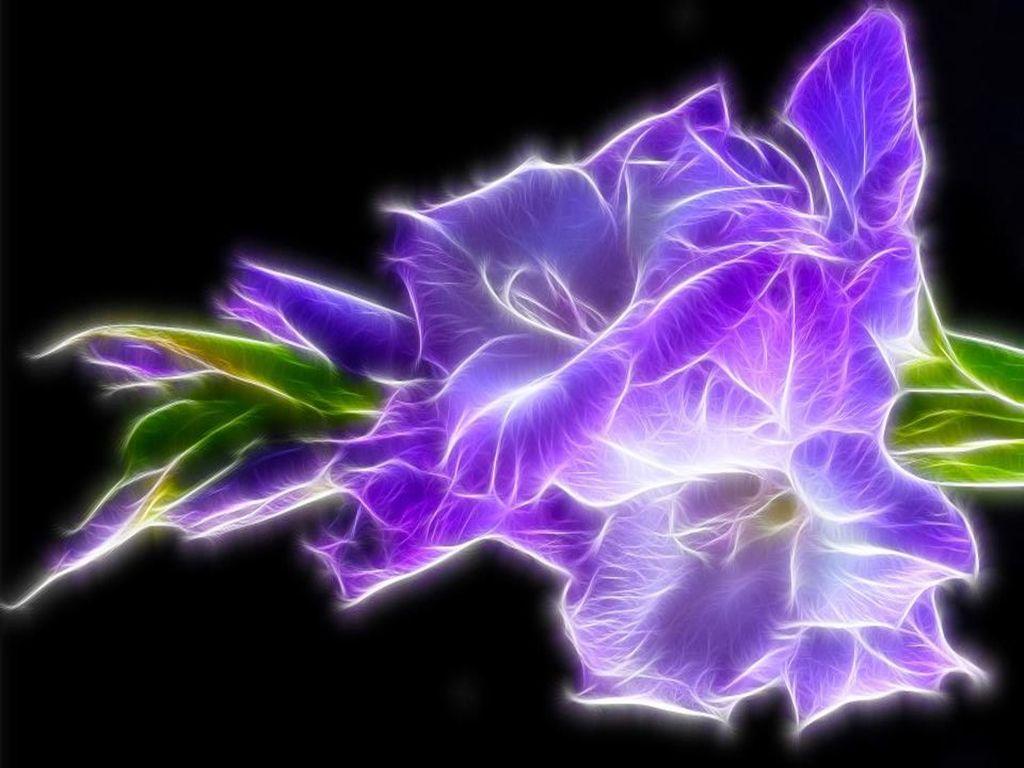 Beautiful Purple Gladiolus wallpaper