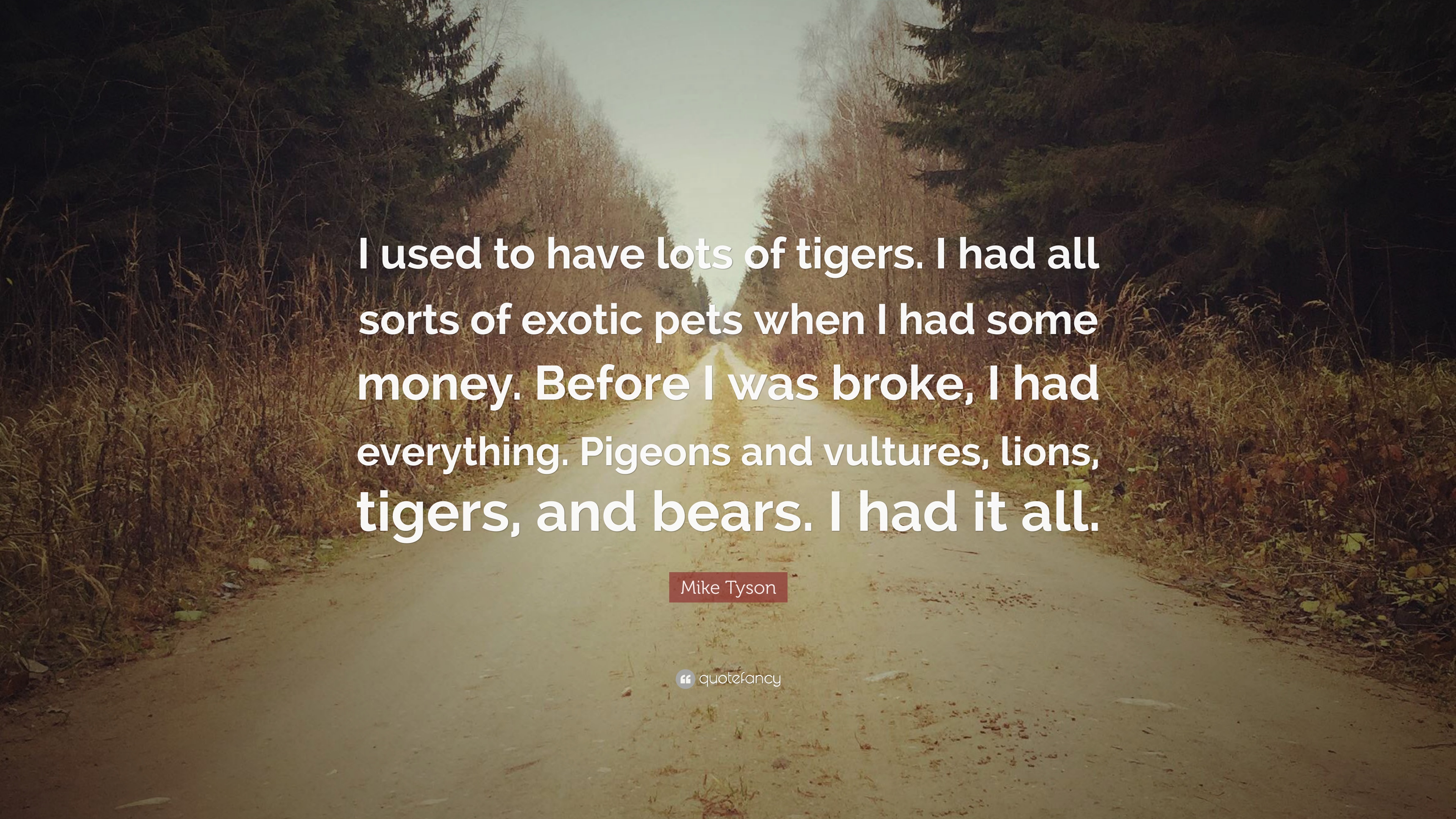 Mike Tyson Quote: “I used to have lots of tigers. I had all sorts